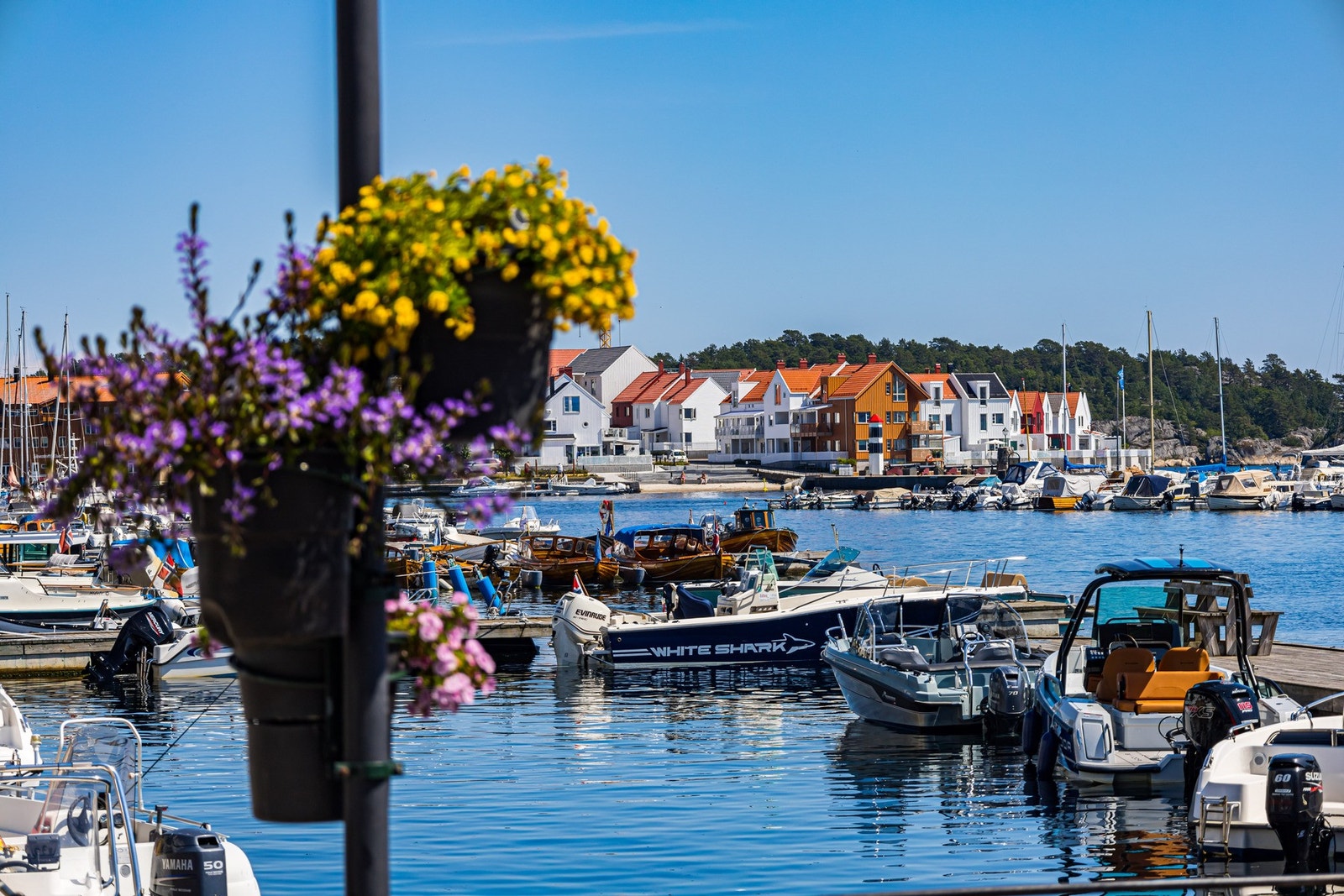Risør har også en gjestehavn hvis man ønsker å ta en tur med båten. Galleribilde