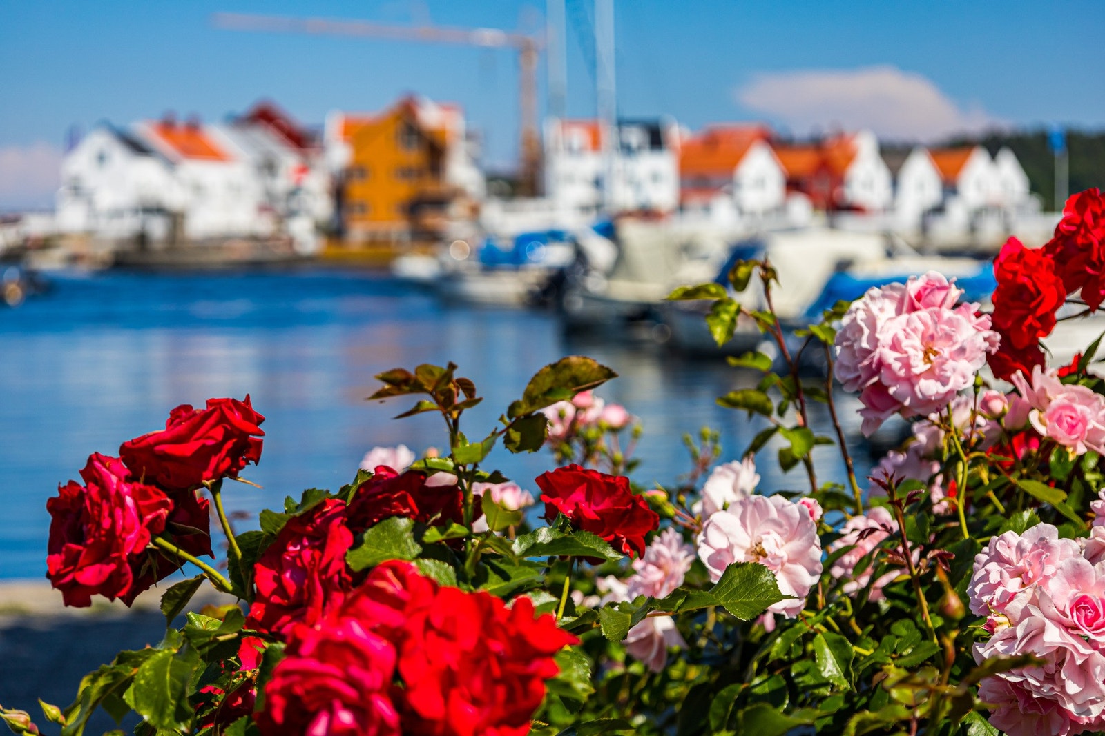 Risør sentrum. Galleribilde