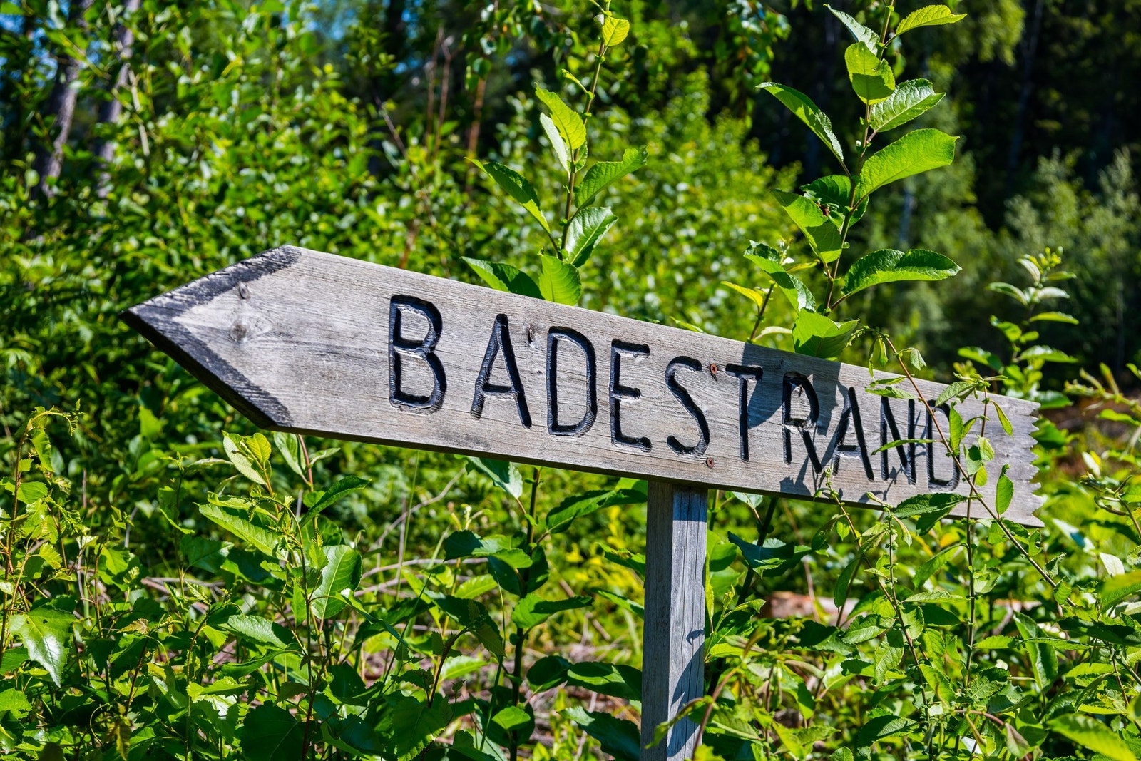 Det er kort vei til badestrand fra tomten. Galleribilde