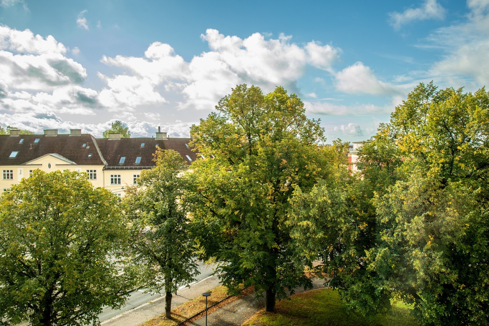 Flott utsyn mot grønne og frodige trær i forkant. Galleribilde