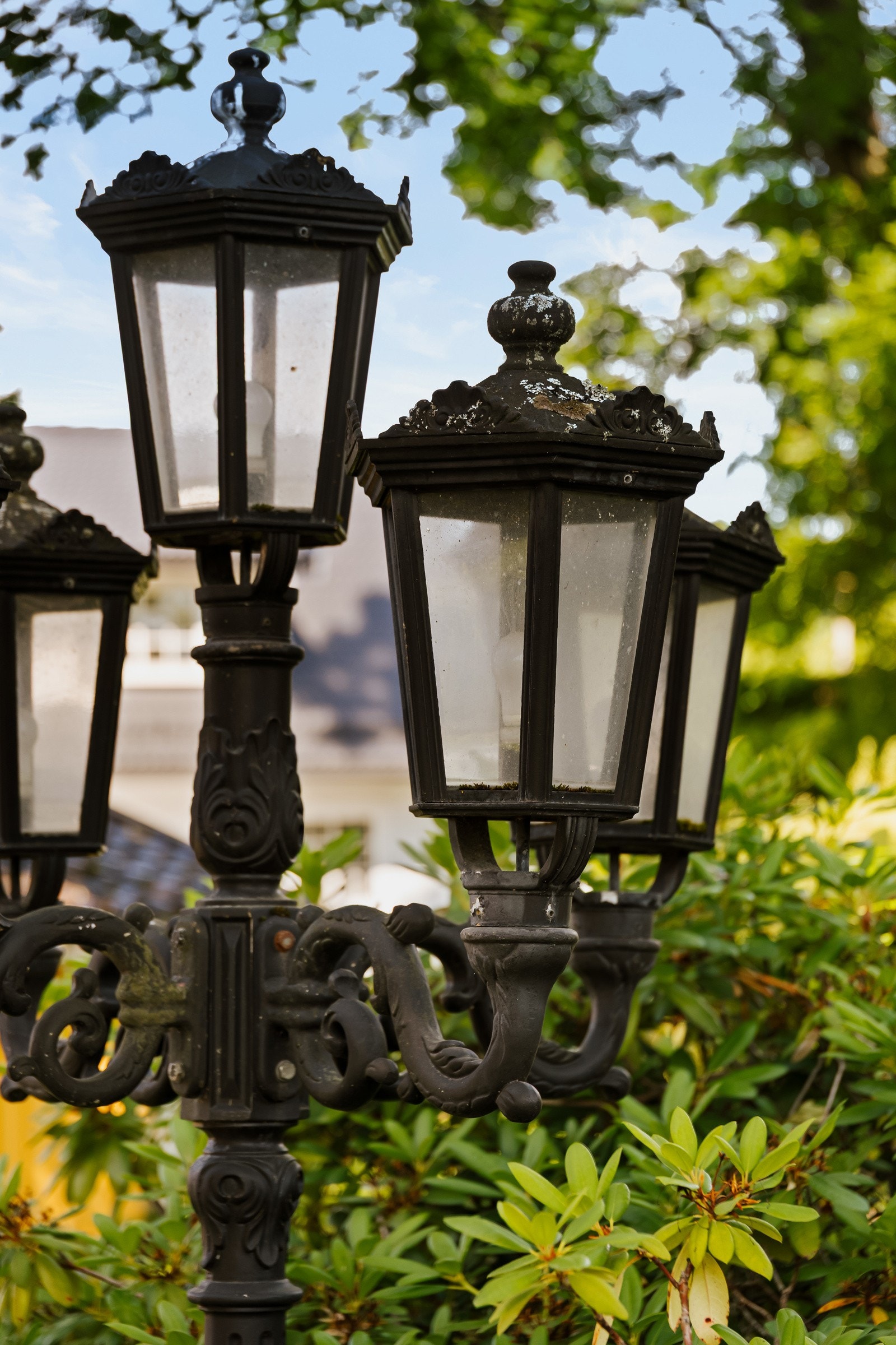 Hage, detalj. Galleribilde