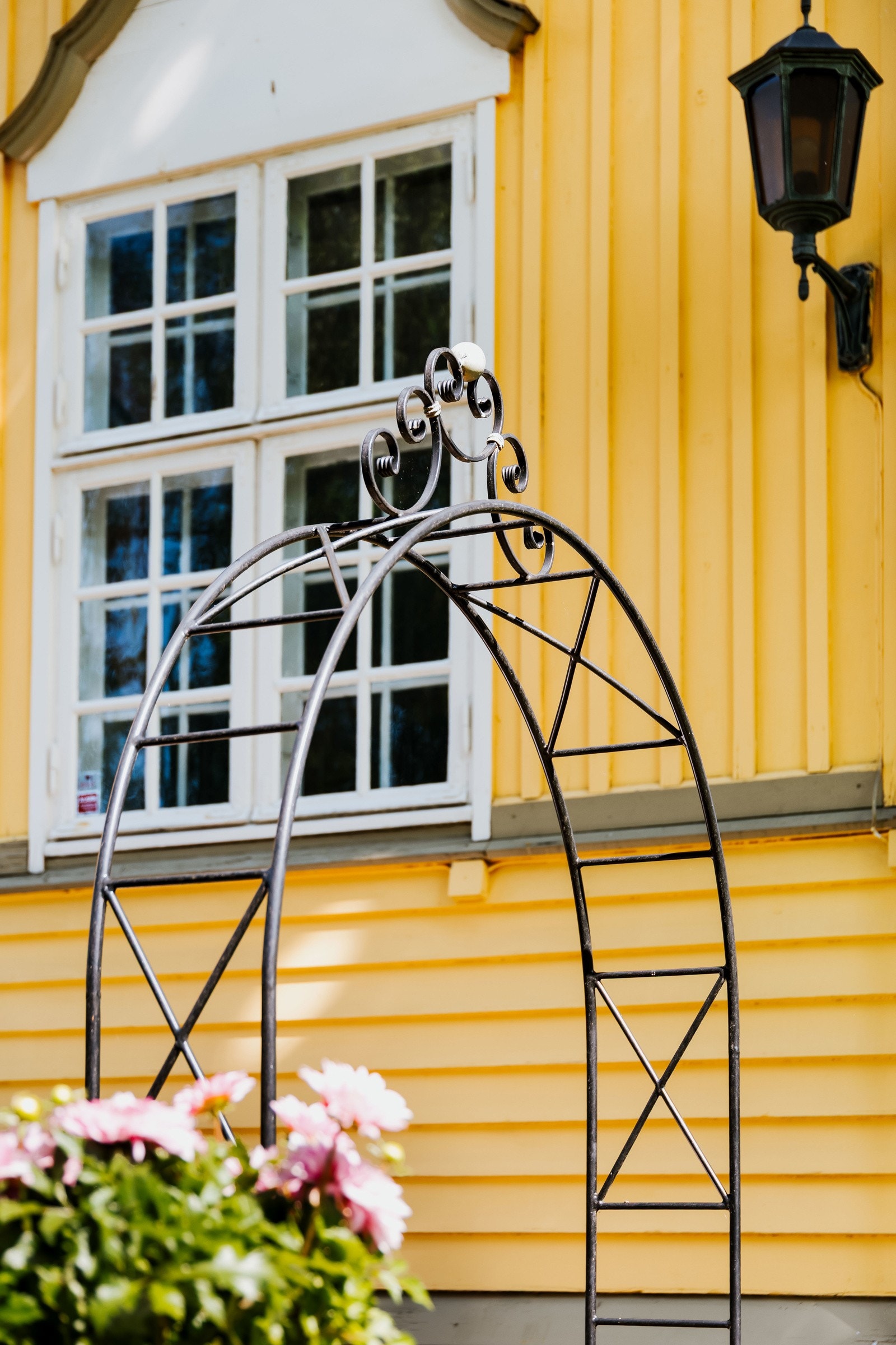 Hage, detalj. Galleribilde