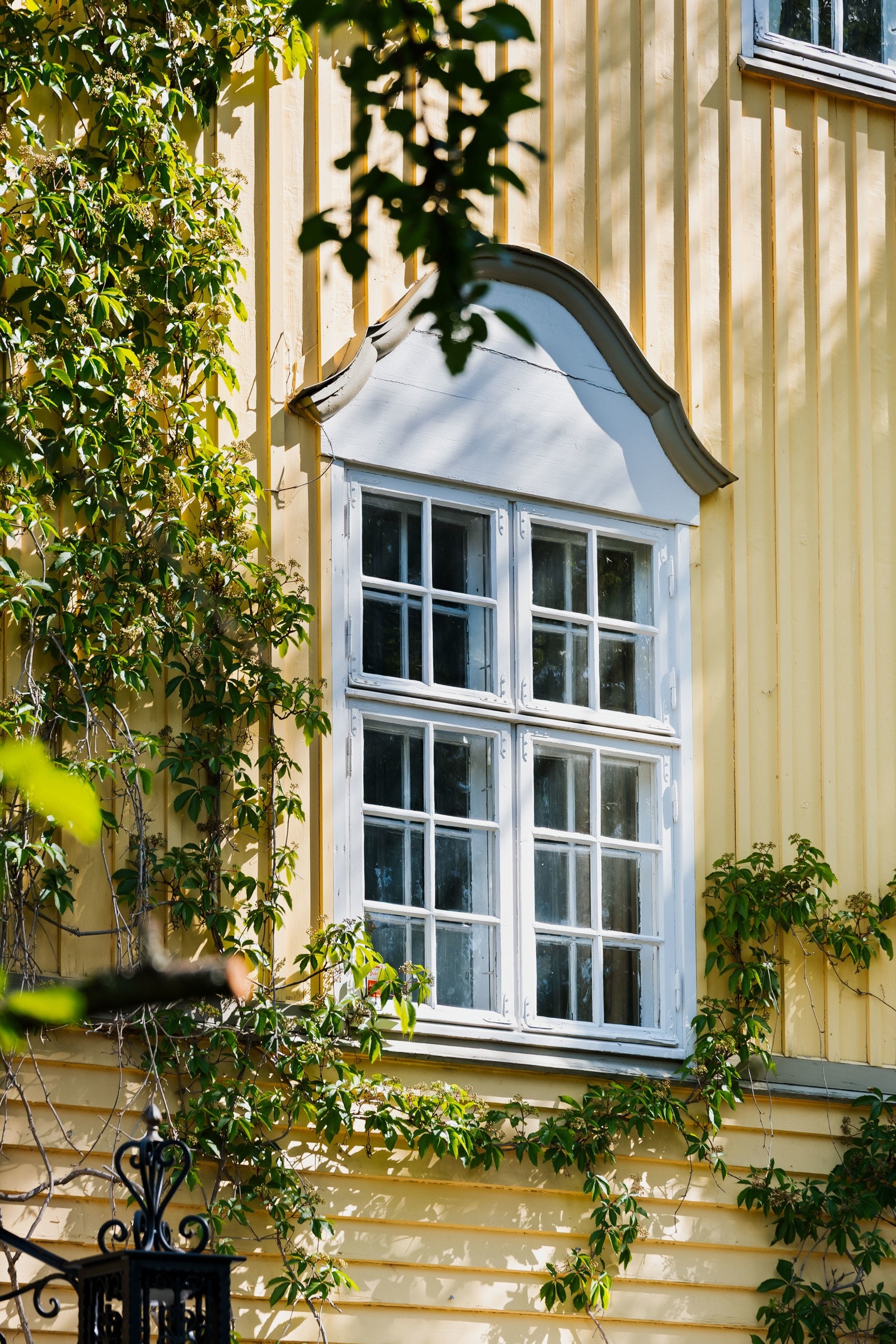 Klassiske vinduer. Galleribilde