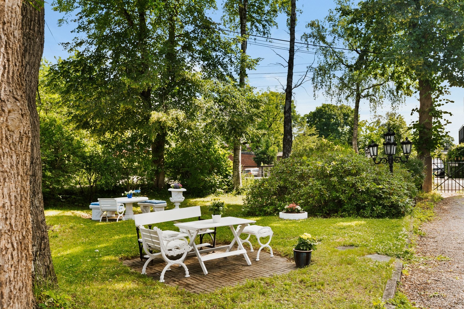 Hagebilde. Galleribilde