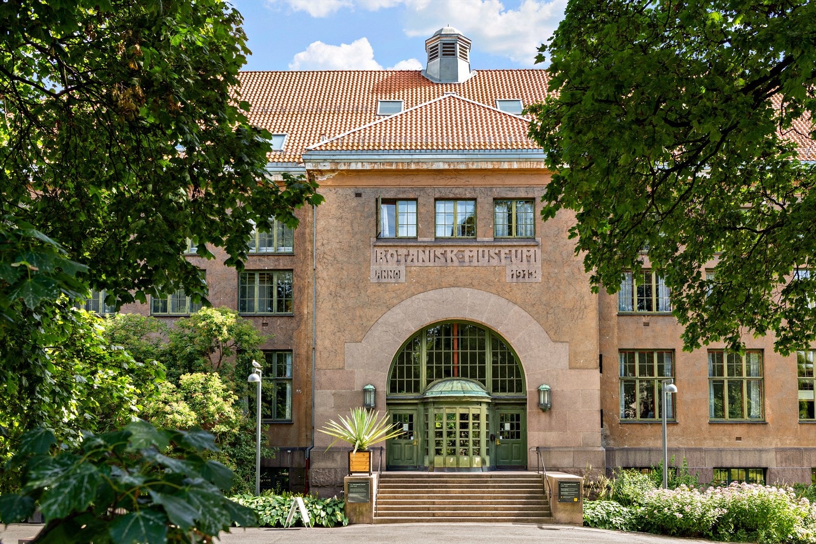 Botanisk museum - Historiske samlinger som viser mangfoldet i naturens verden. Galleribilde