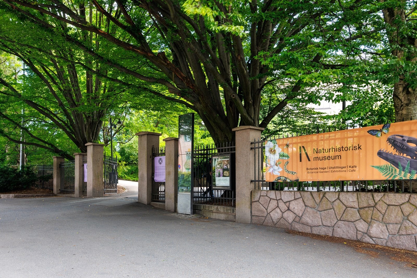 Botanisk hage - En grønn oase midt i byen, fylt med planter fra hele verden kun et steinkast unna. Galleribilde