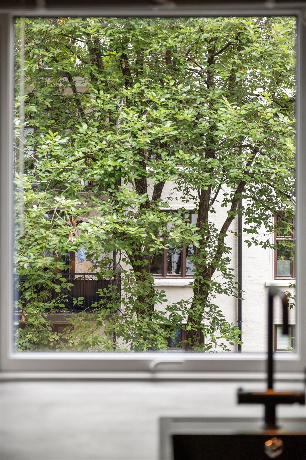 Grønne innslag utenfor vinduet gir en lun og trivelig følelse inne. Galleribilde