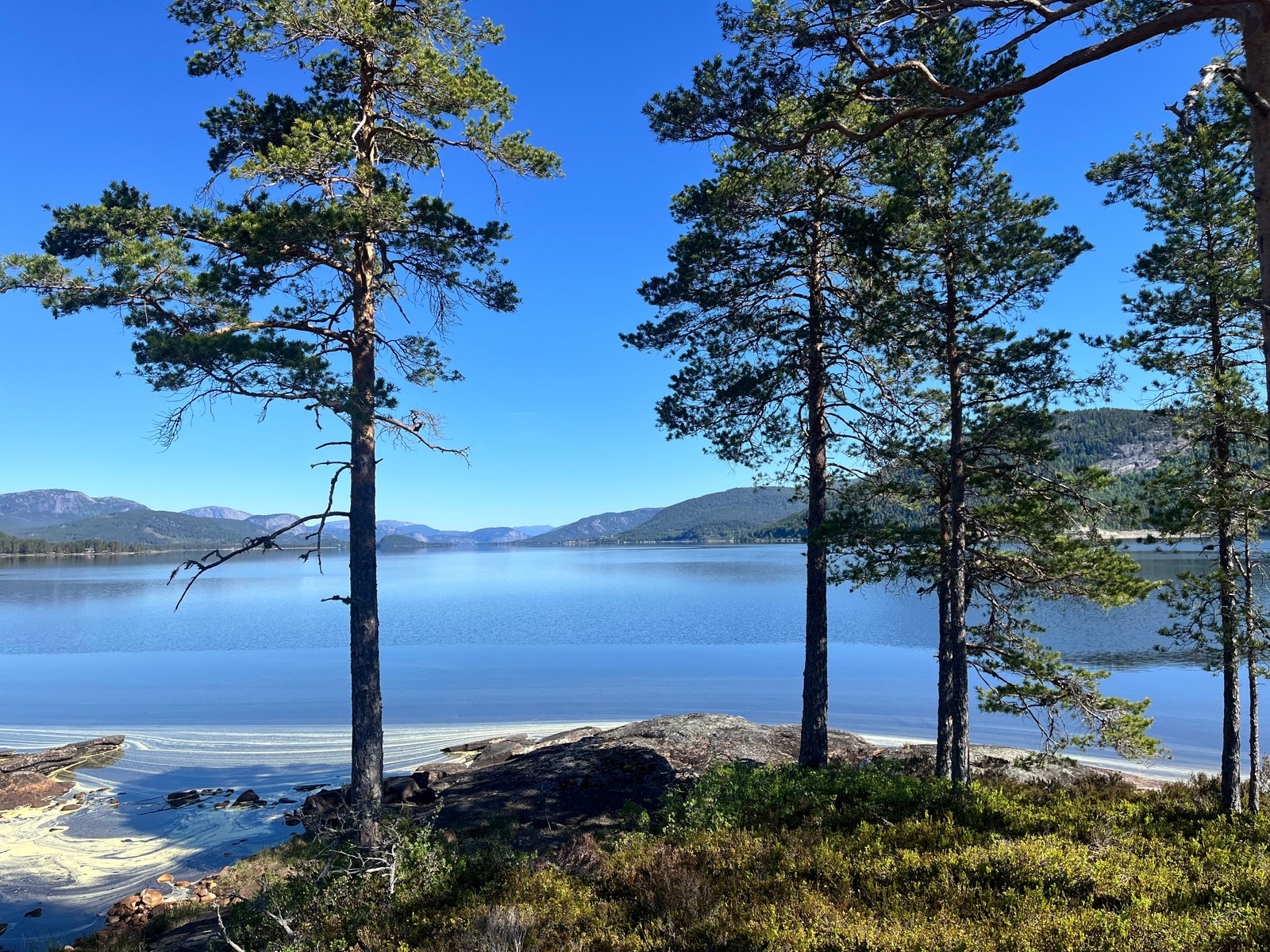 Raudnes har en unik strandlinje - hyttene ligger 50 meter fra denne vakre naturen Galleribilde