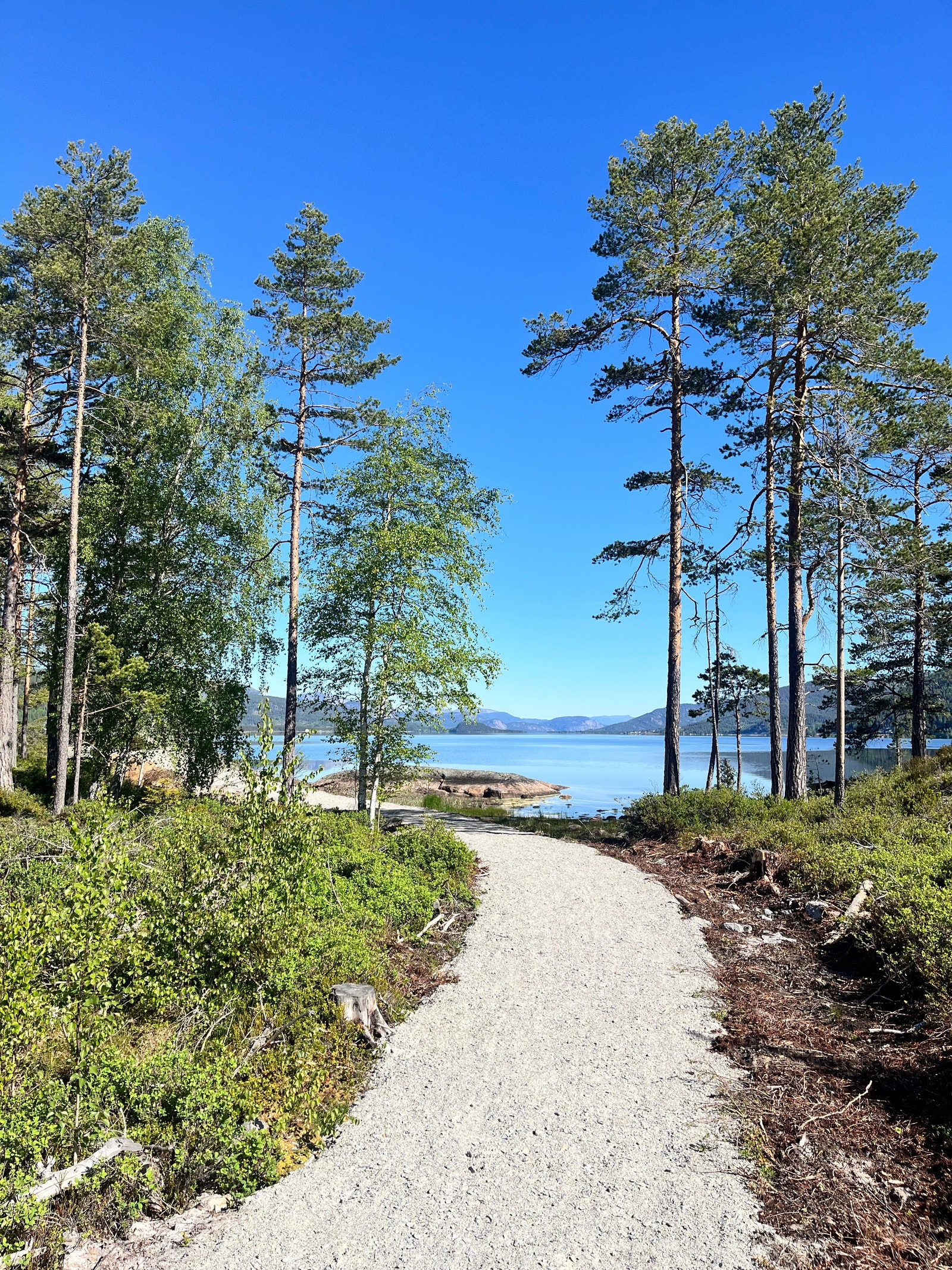 Raudnes har en unik strandlinje - hyttene ligger 50 meter fra denne vakre naturen Galleribilde