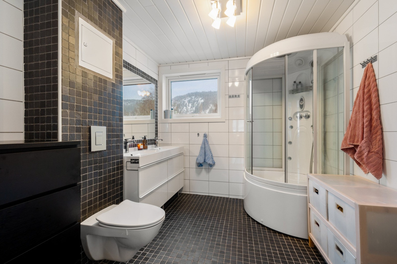 Baderommet | Bestående av servant med underskuffer, vegghengt toalett, dusjkabinett Galleribilde