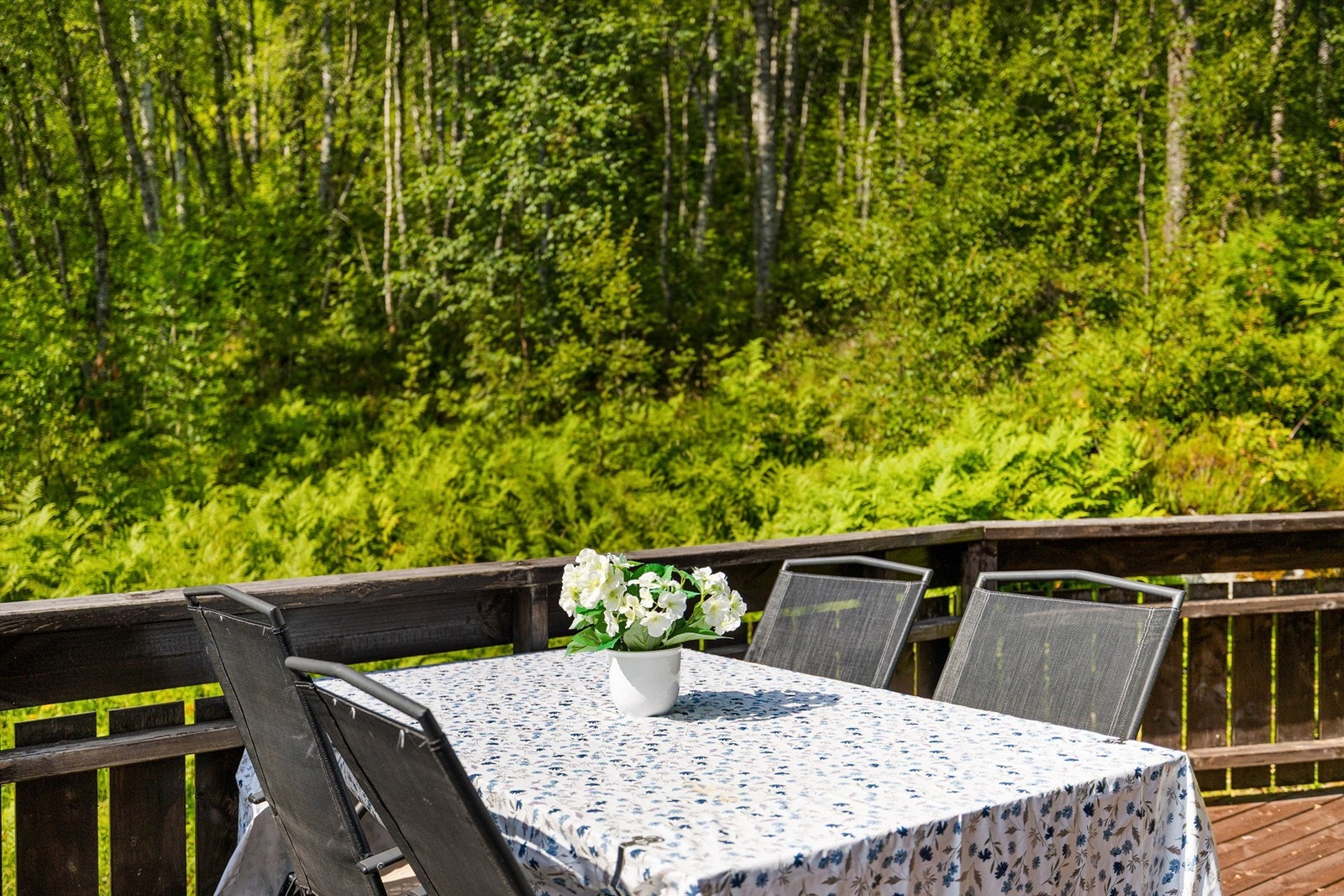 Terrasse Galleribilde