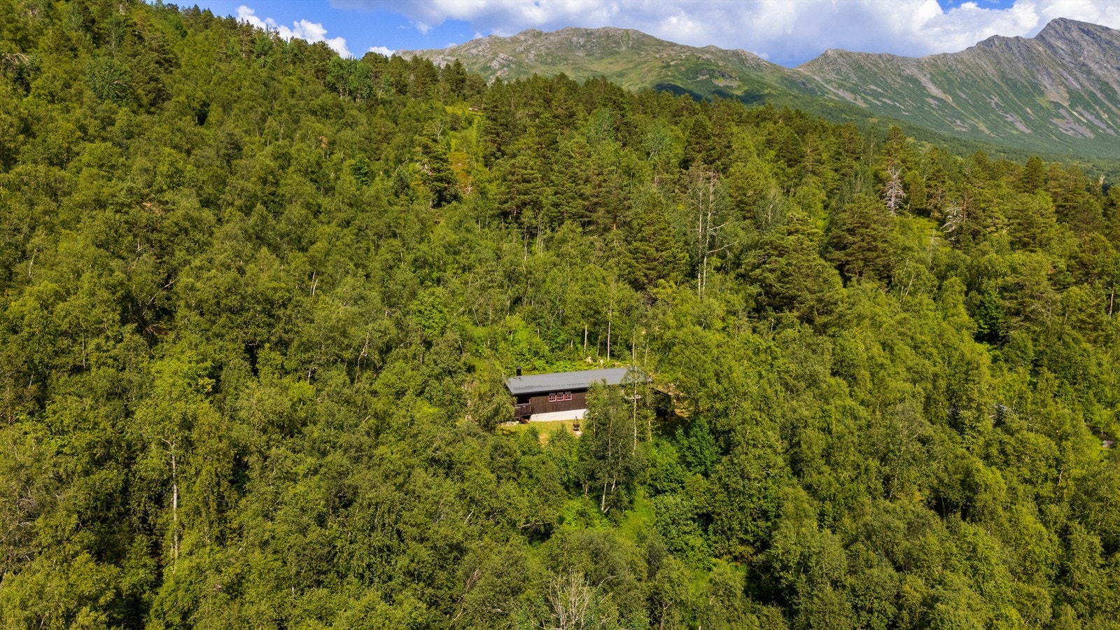 Dronefoto Galleribilde