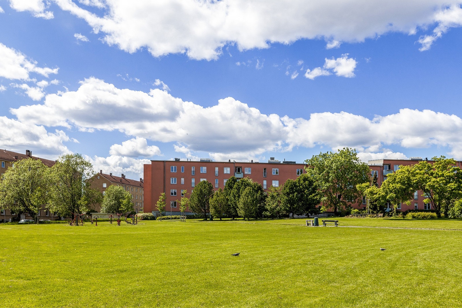Nærområdet - Teisenparken. Galleribilde