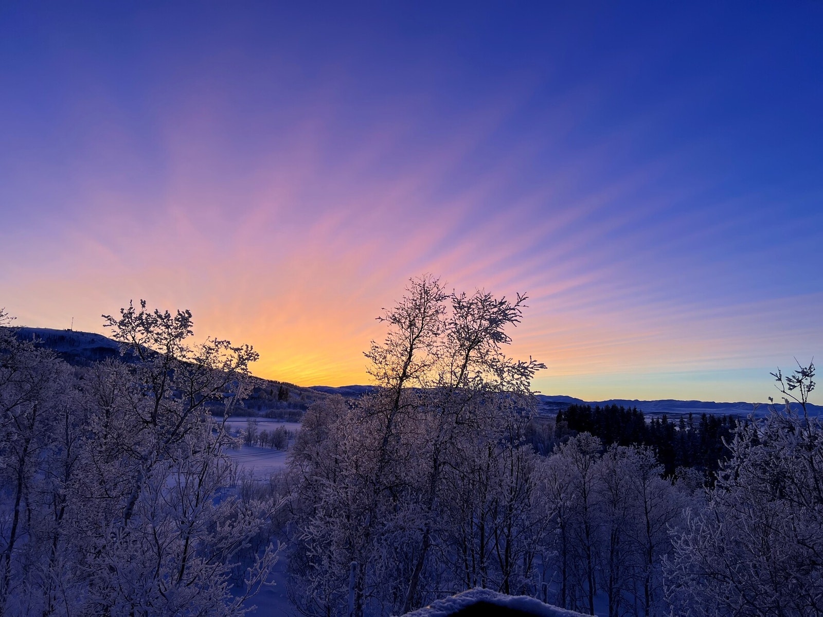 (selgers bilde) Galleribilde