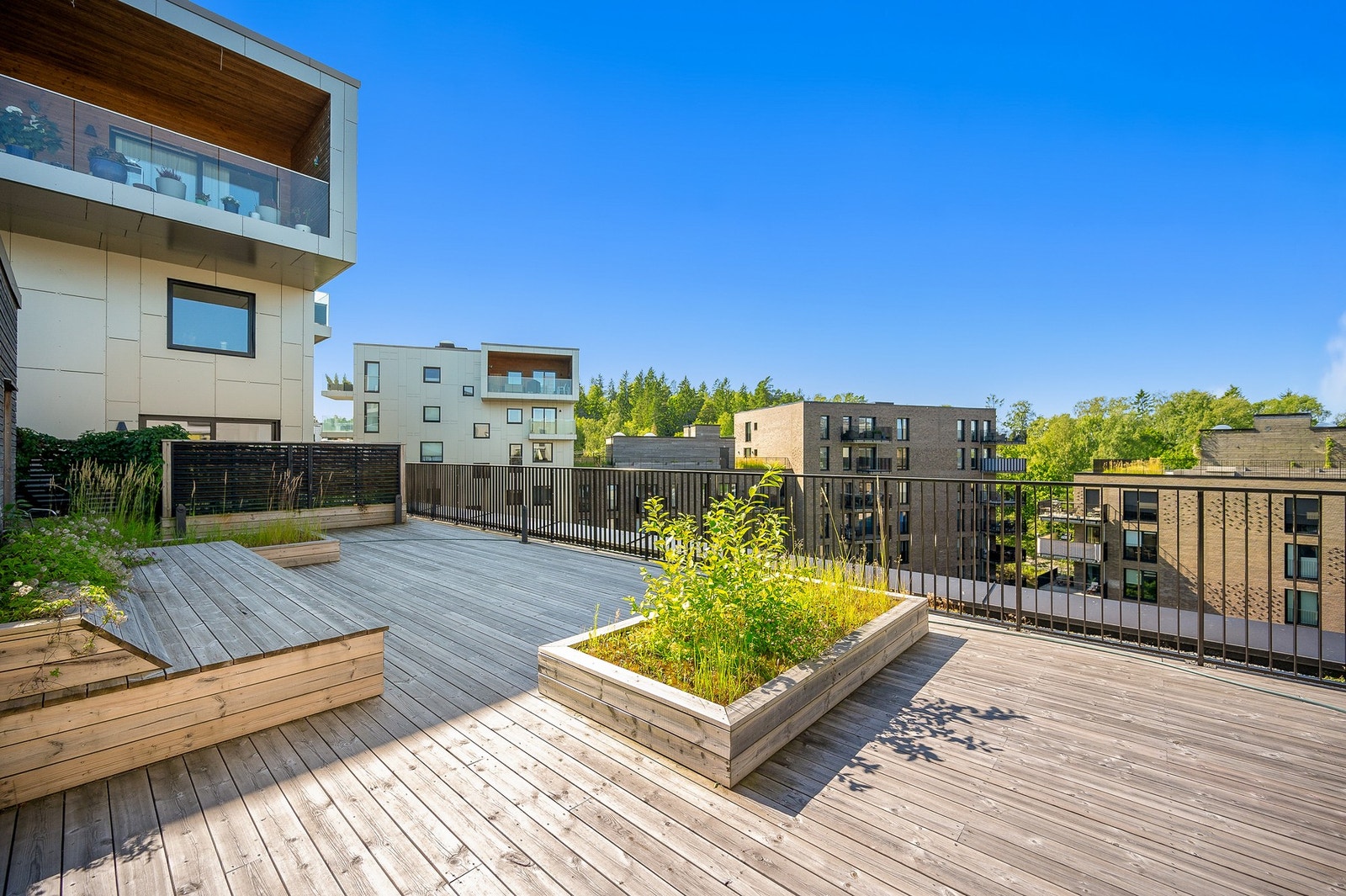 Felles takterrasse med tredekke, integrerte benker og planter. Galleribilde