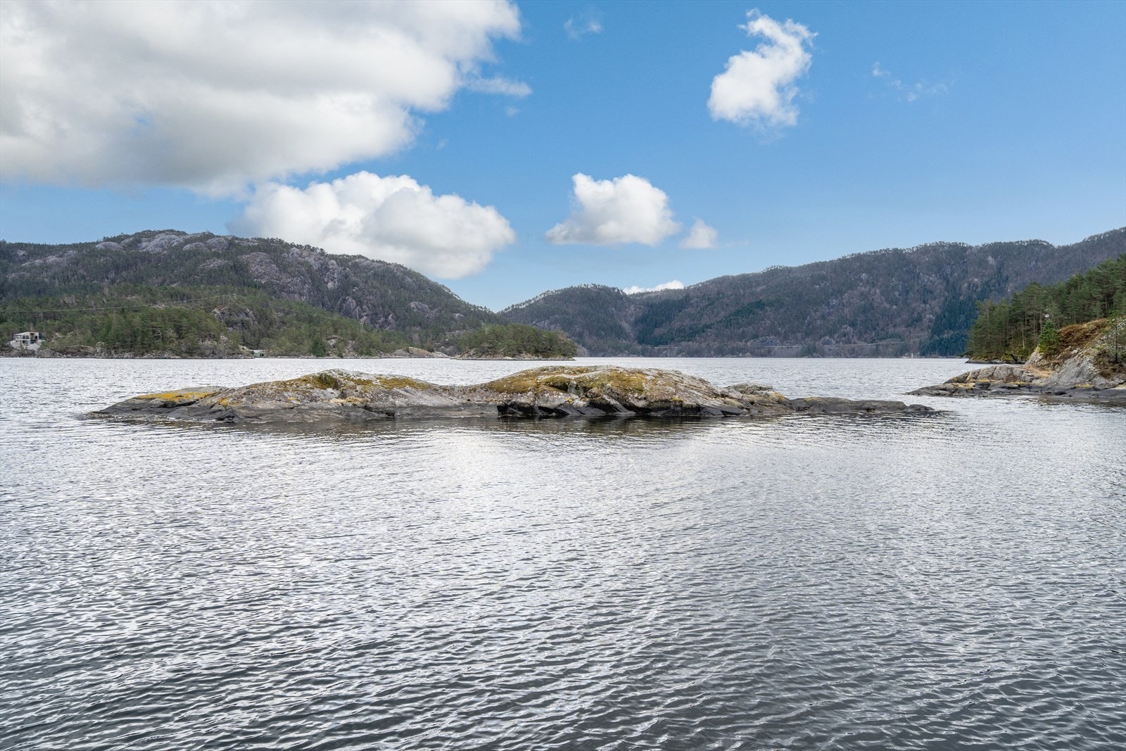 DOY08378 Galleribilde