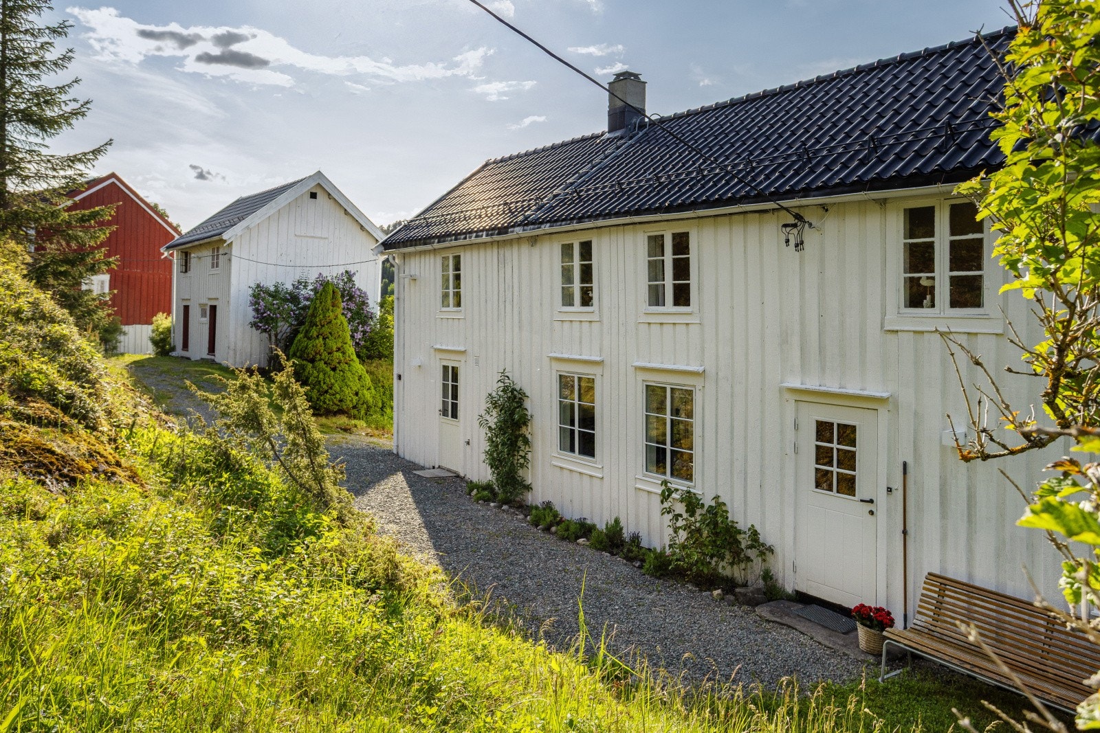 298830_red-215.jpg Galleribilde