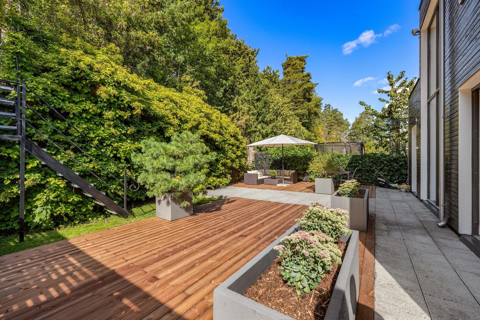 Trapp fra hagen rett ut i Kongeskogen Galleribilde