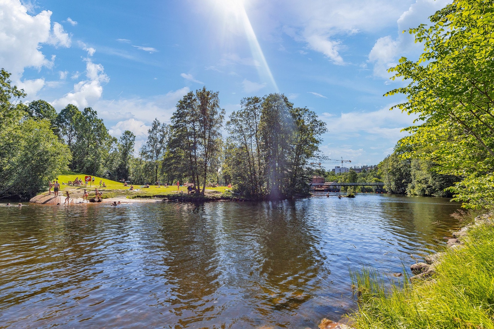 - Nærområde - Galleribilde