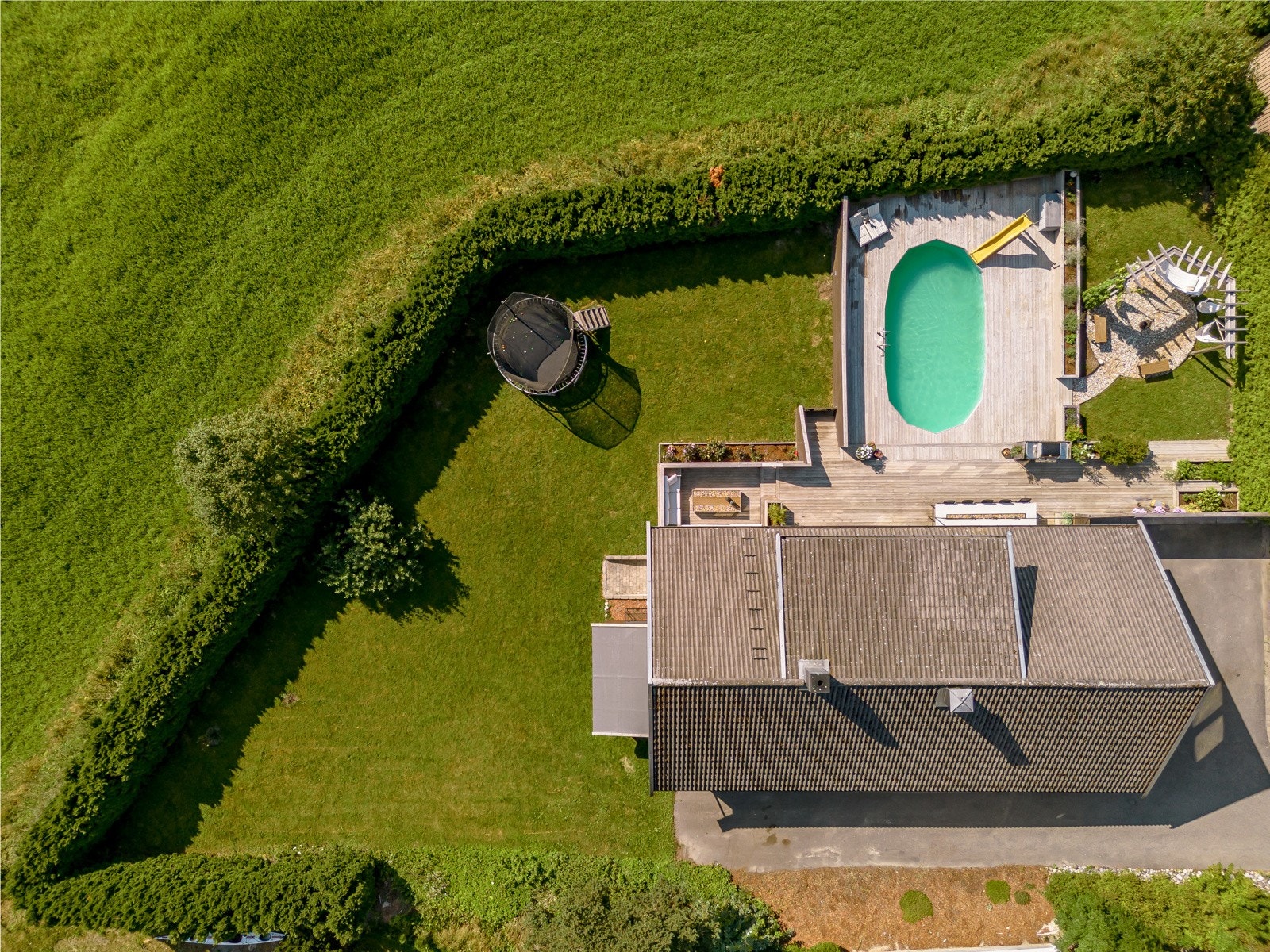 Dronebilde over tomten. Galleribilde