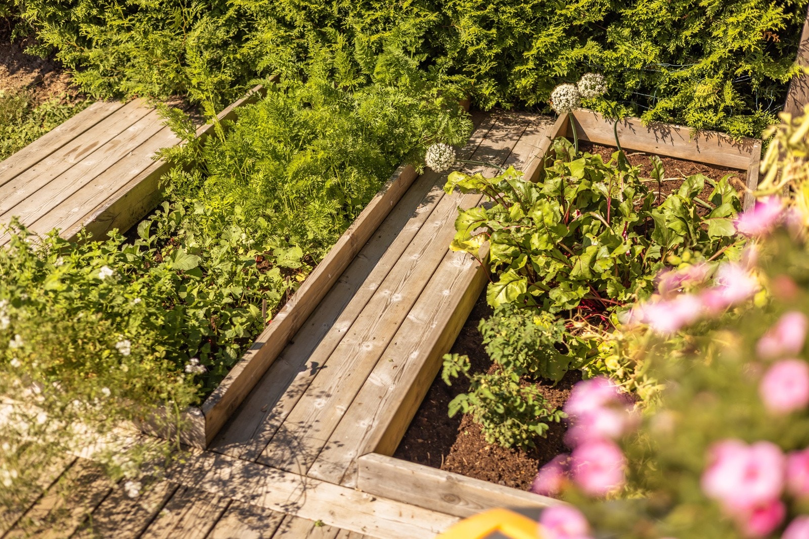 Detaljbilde fra hagen Galleribilde