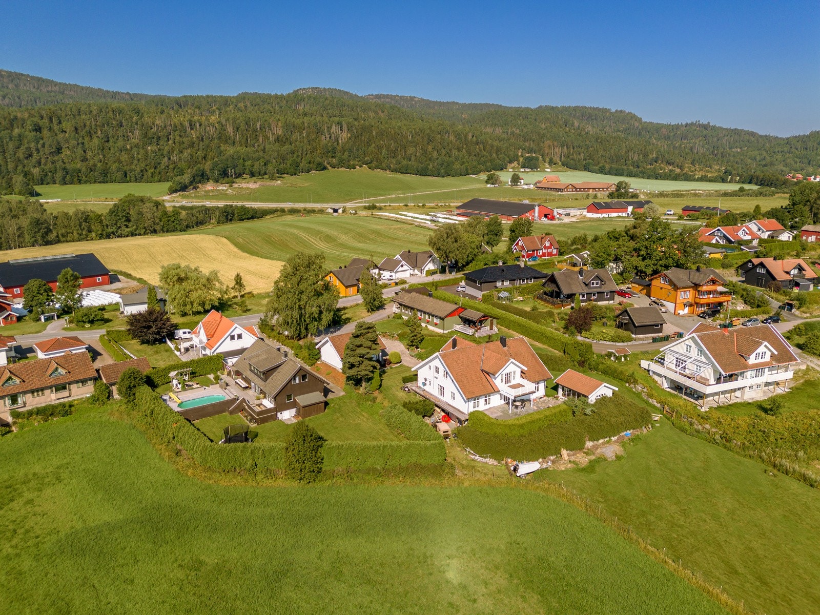 Dronebilde over tomten. Galleribilde
