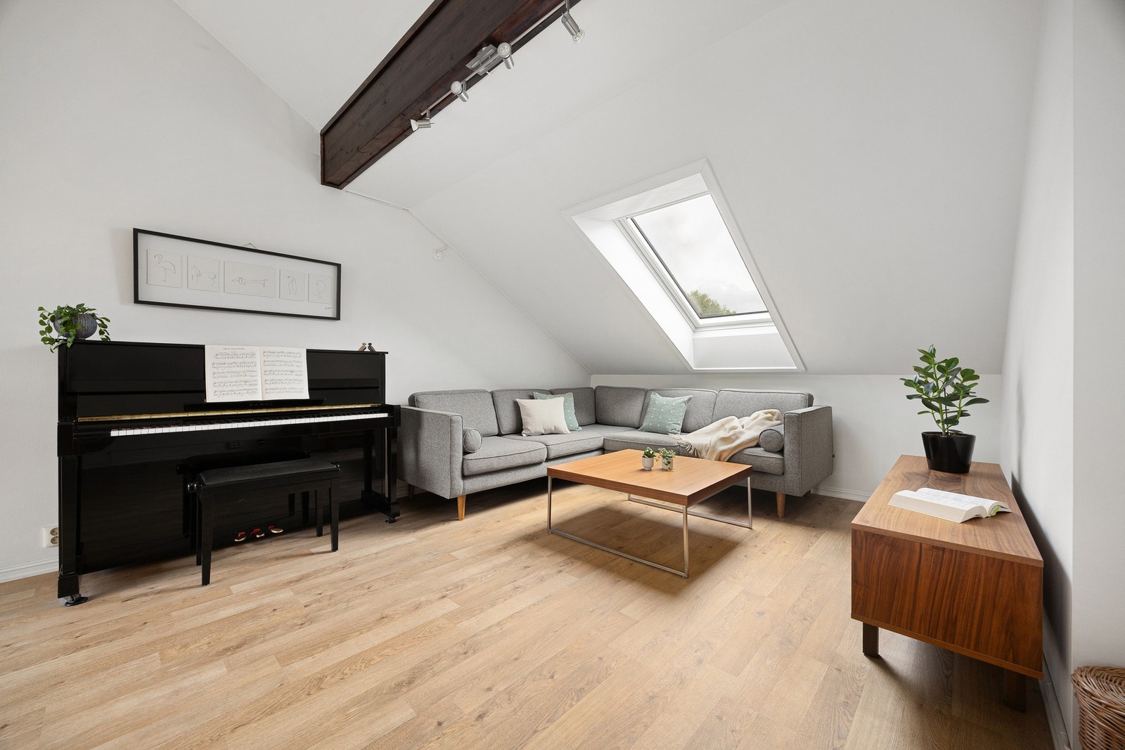 Koselig sofakrok i stuen. Galleribilde