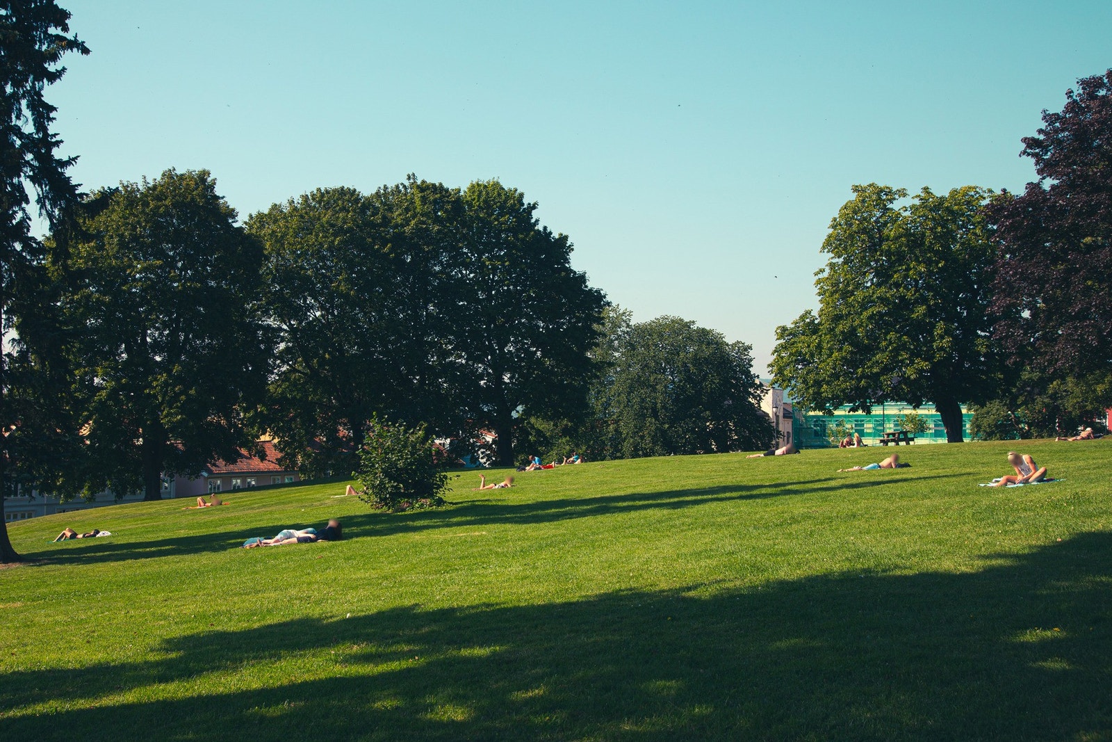 Nærområdet - Vålerenga park er kjent for sine store trær, blomsterbed, lekeplass og åpne plener som brukes til piknik og lek. Galleribilde
