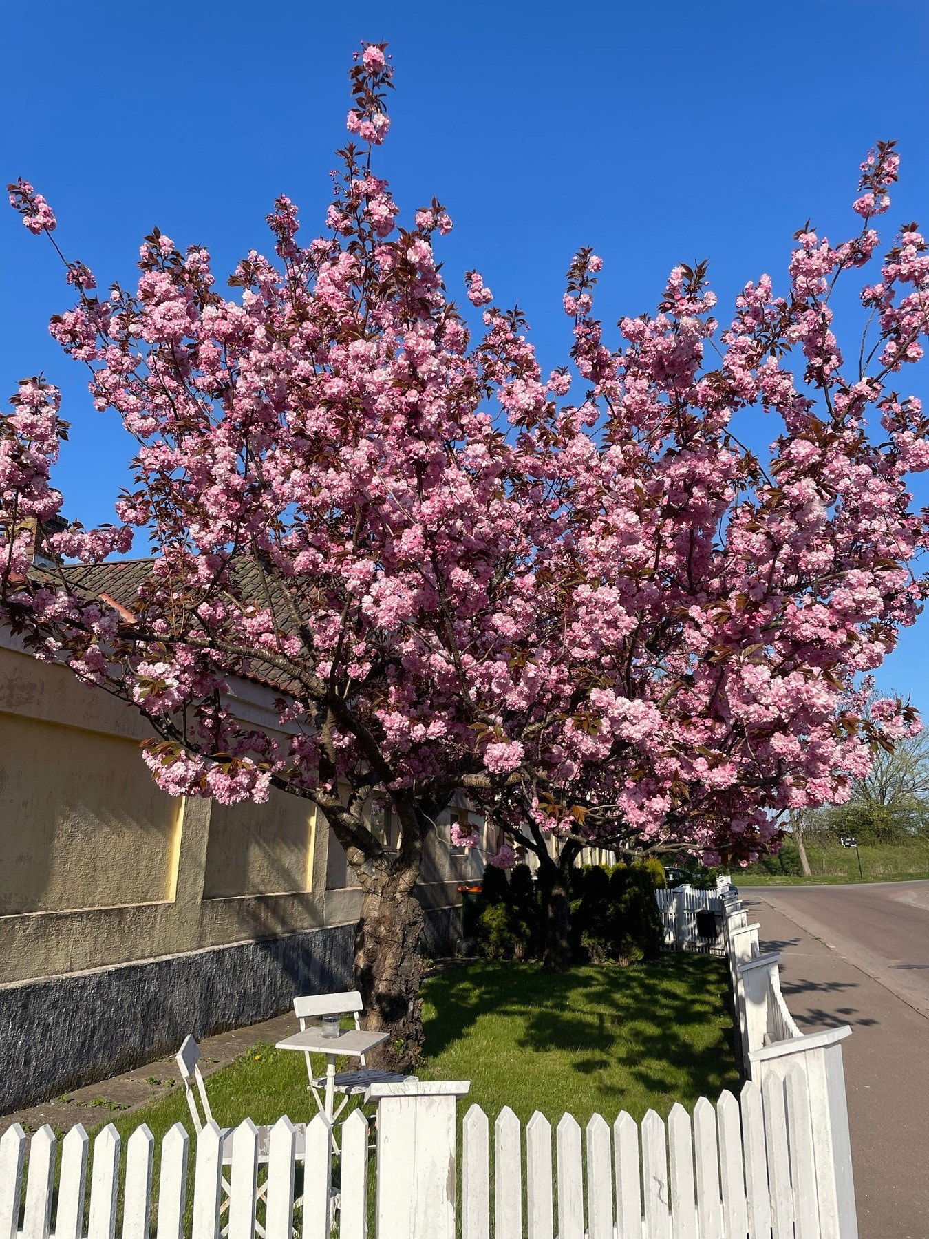 Sameiet har svært pene fellesområder Galleribilde