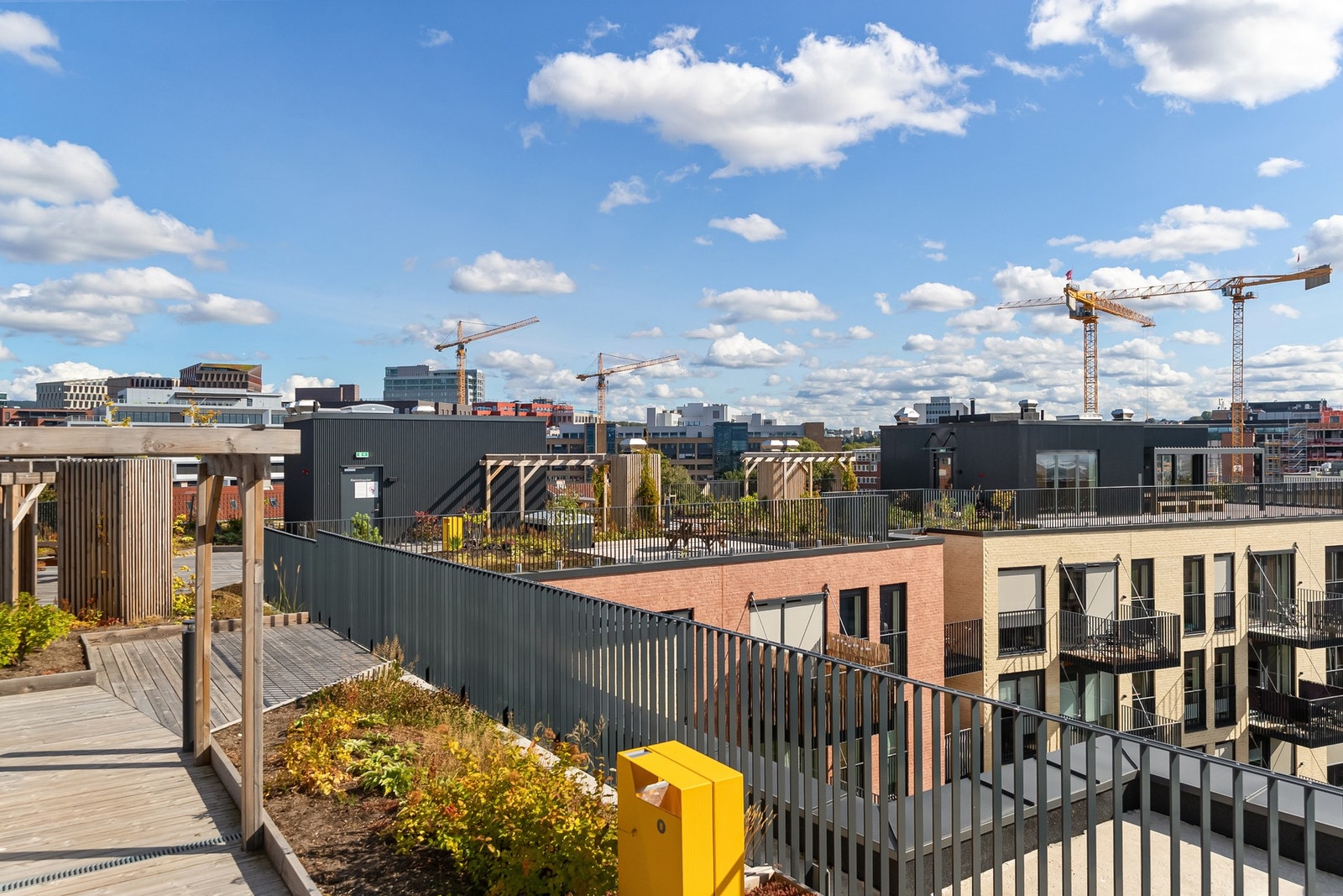 Her får du sol hele dagen. Galleribilde