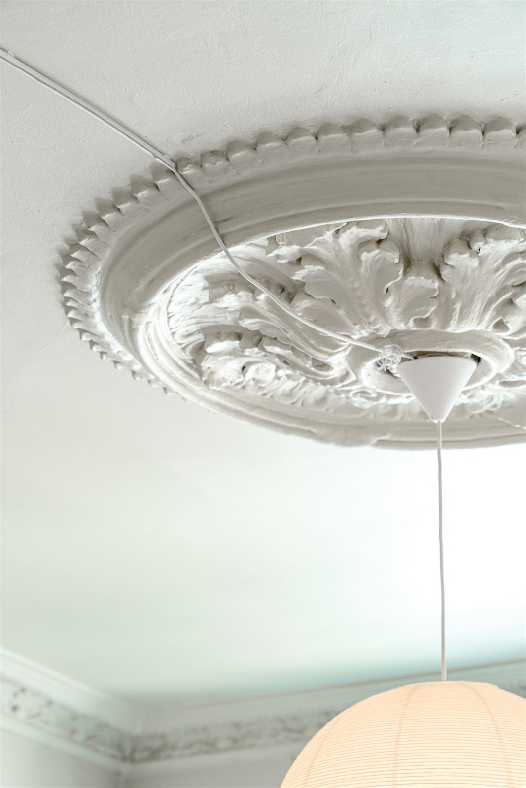 Vakker rosett. Galleribilde