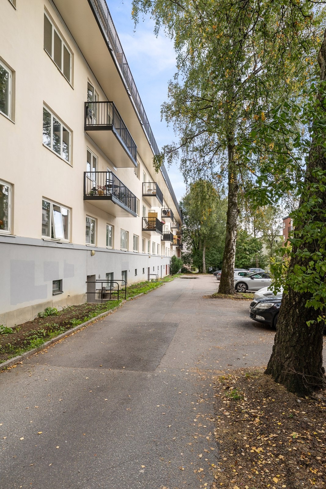 Fasade. Galleribilde