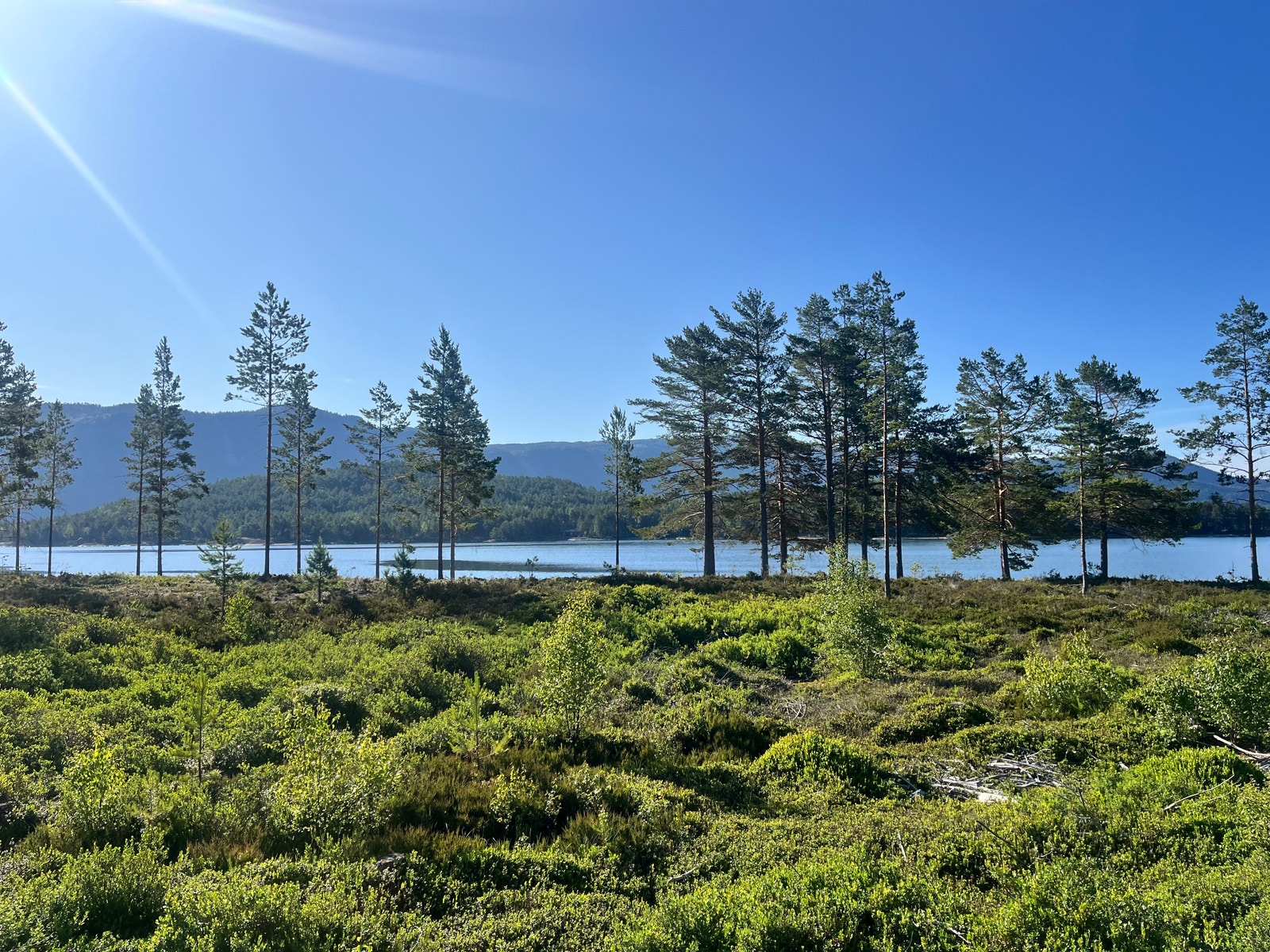 Bilde tatt på tomt 19 - Stranna nedenfor Galleribilde
