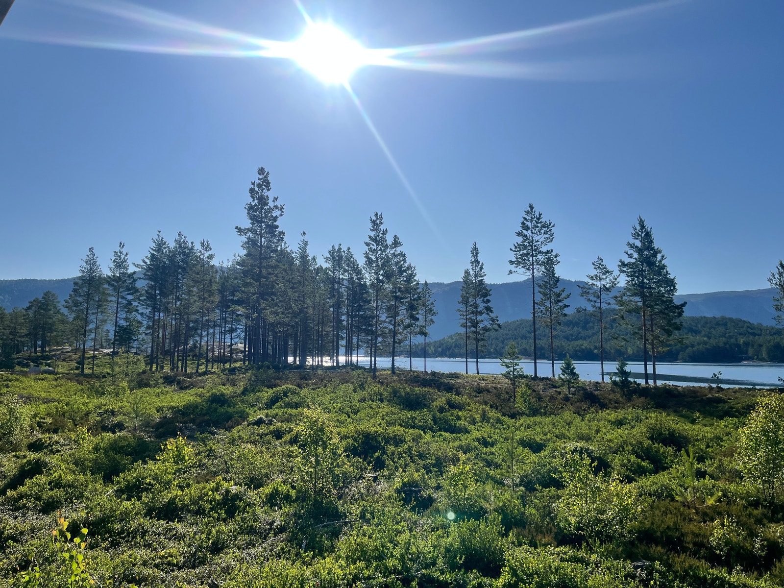 Bilde tatt på tomt 19 - Stranda nedenfor Galleribilde