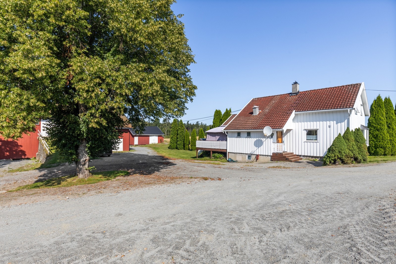 Stort og fint tuntre midt på plassen som bidrar til noe avskjerming mot nabohuset Galleribilde