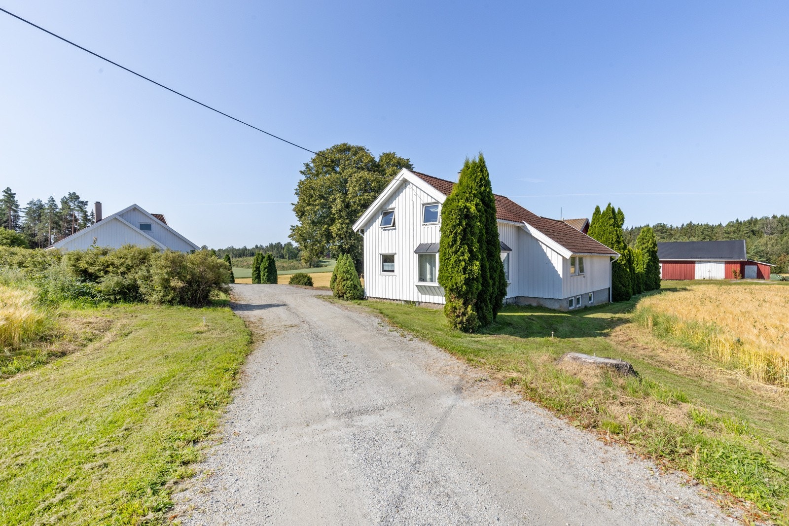 Velkommen til visning! Galleribilde