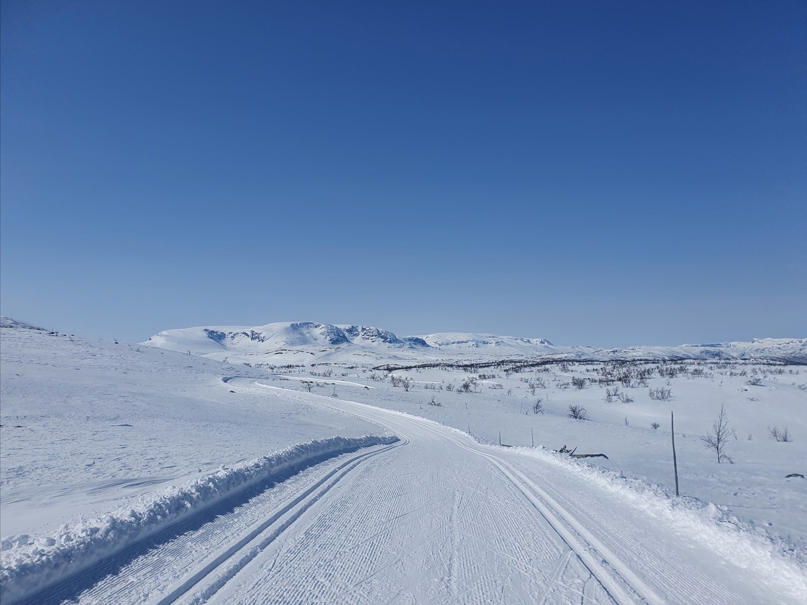 Milevis med flotte skiløyper som starter like utenfor hyttedøra Galleribilde