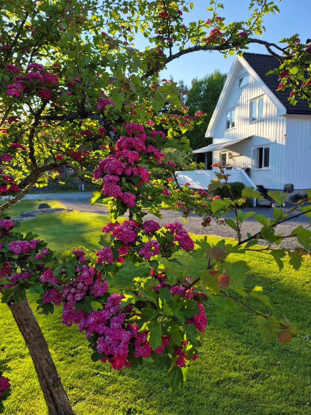 Privat bilde tatt av selger Galleribilde