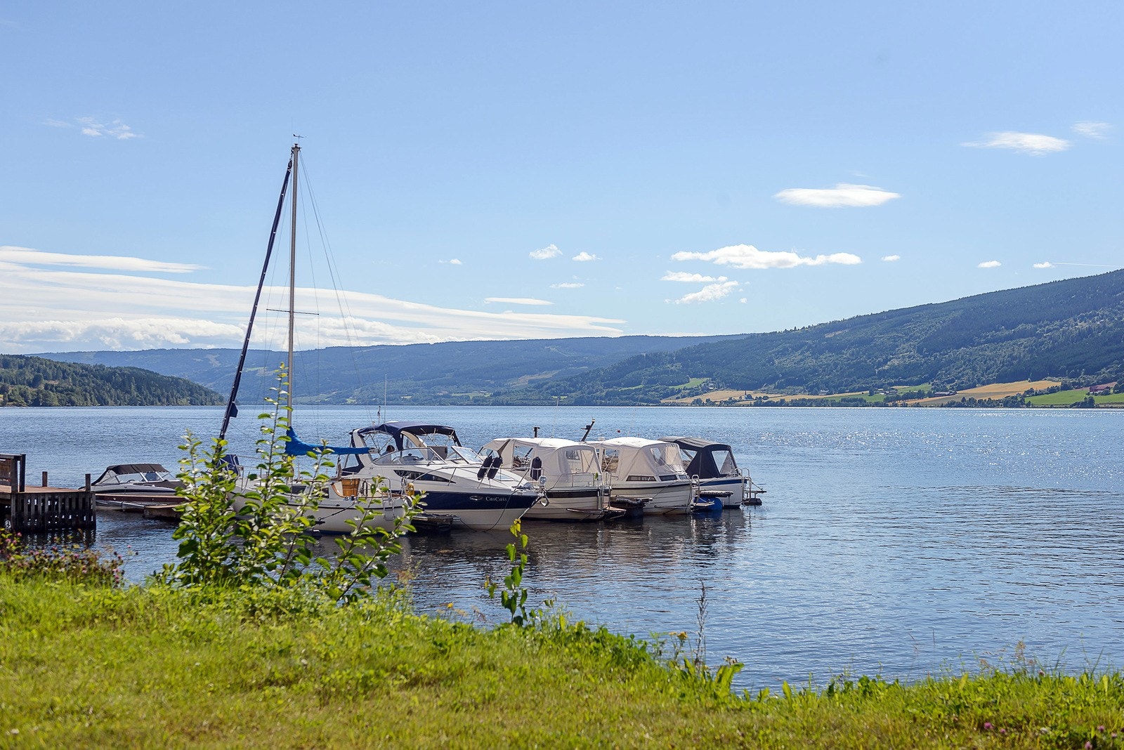 Nærområdet på sommerstid. Galleribilde