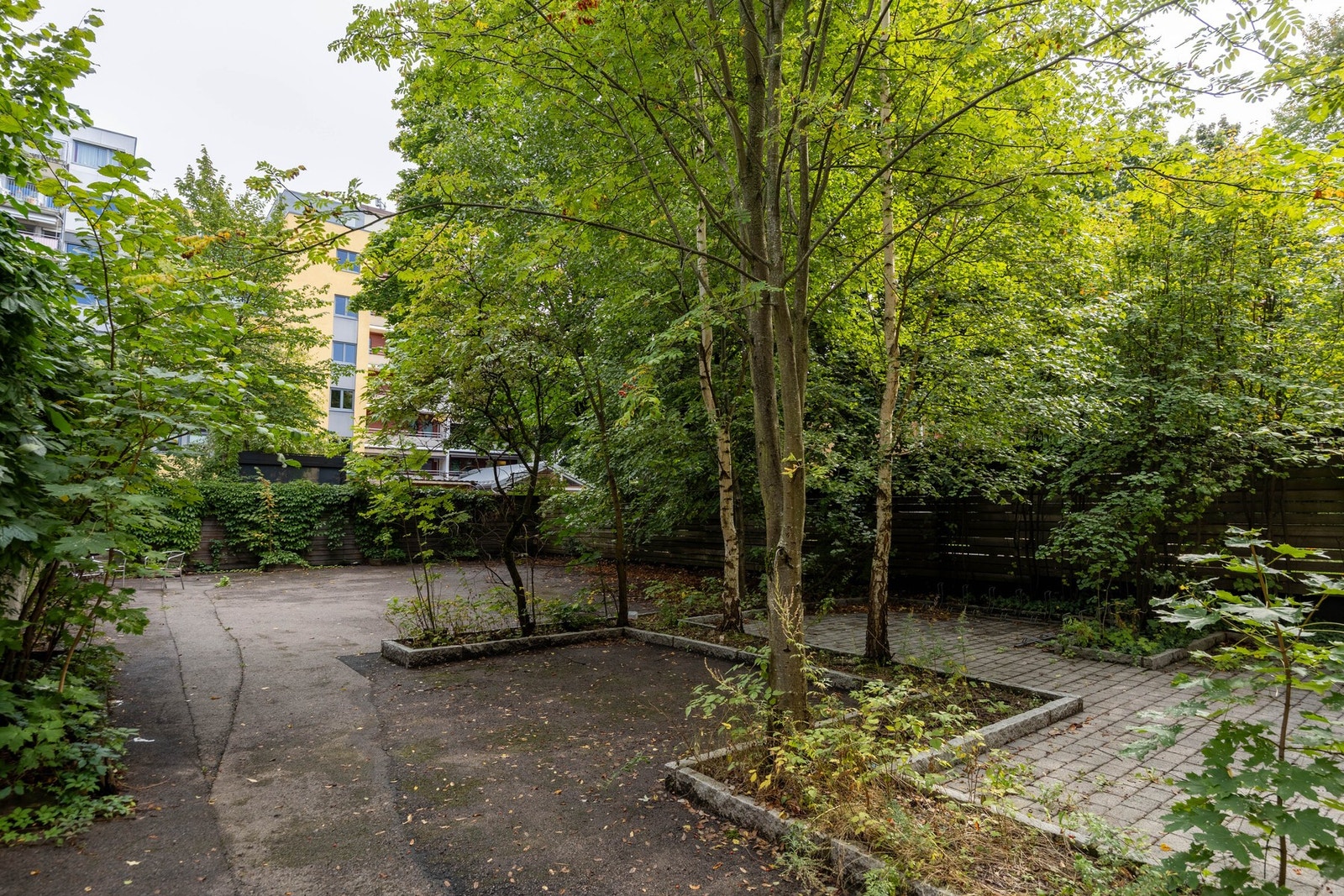 Felles bakgård. Galleribilde