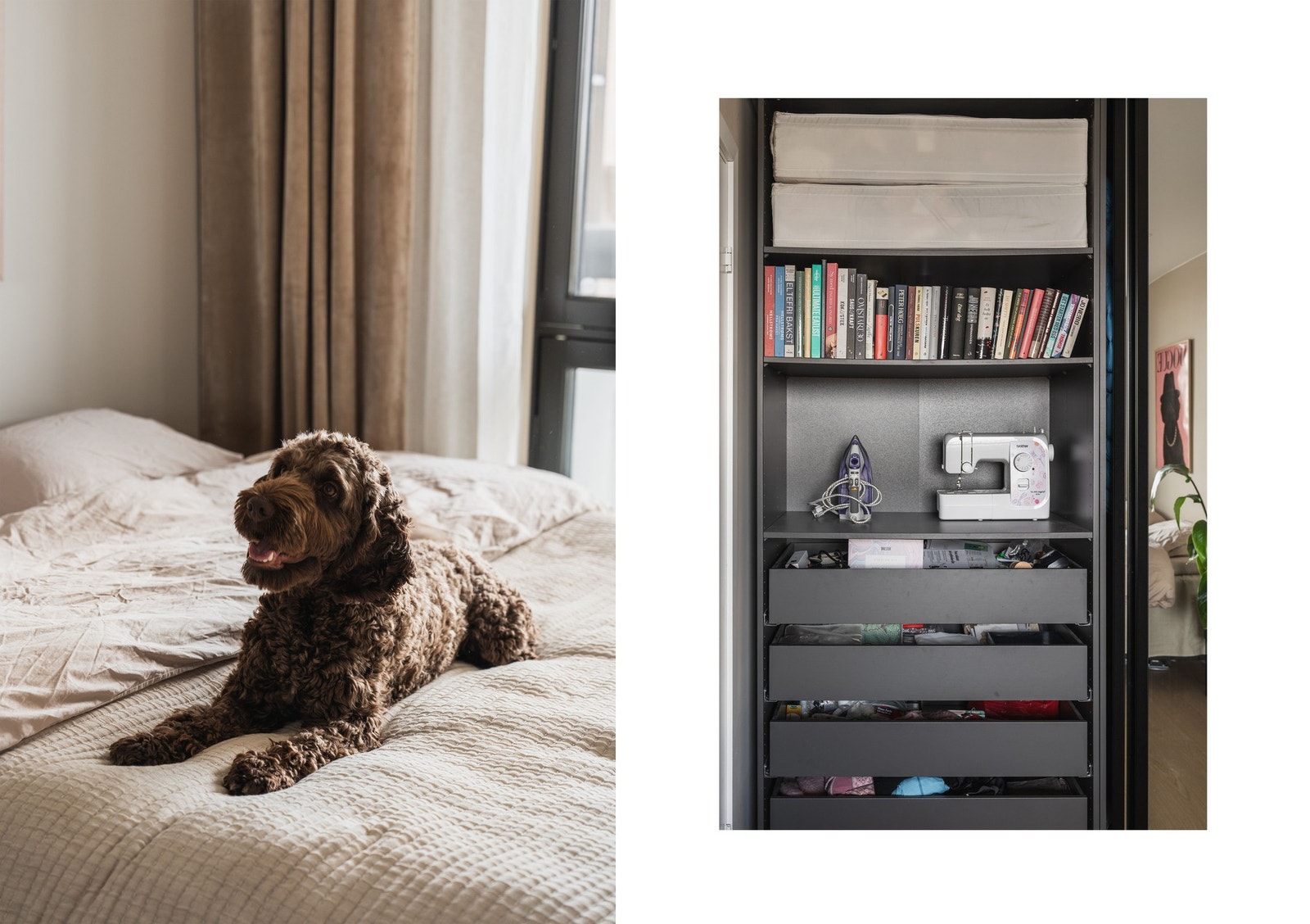 Det er tillatt med dyr i sameiet. Avbildet her er modellen fra kunstverket på forrige bilde. Galleribilde