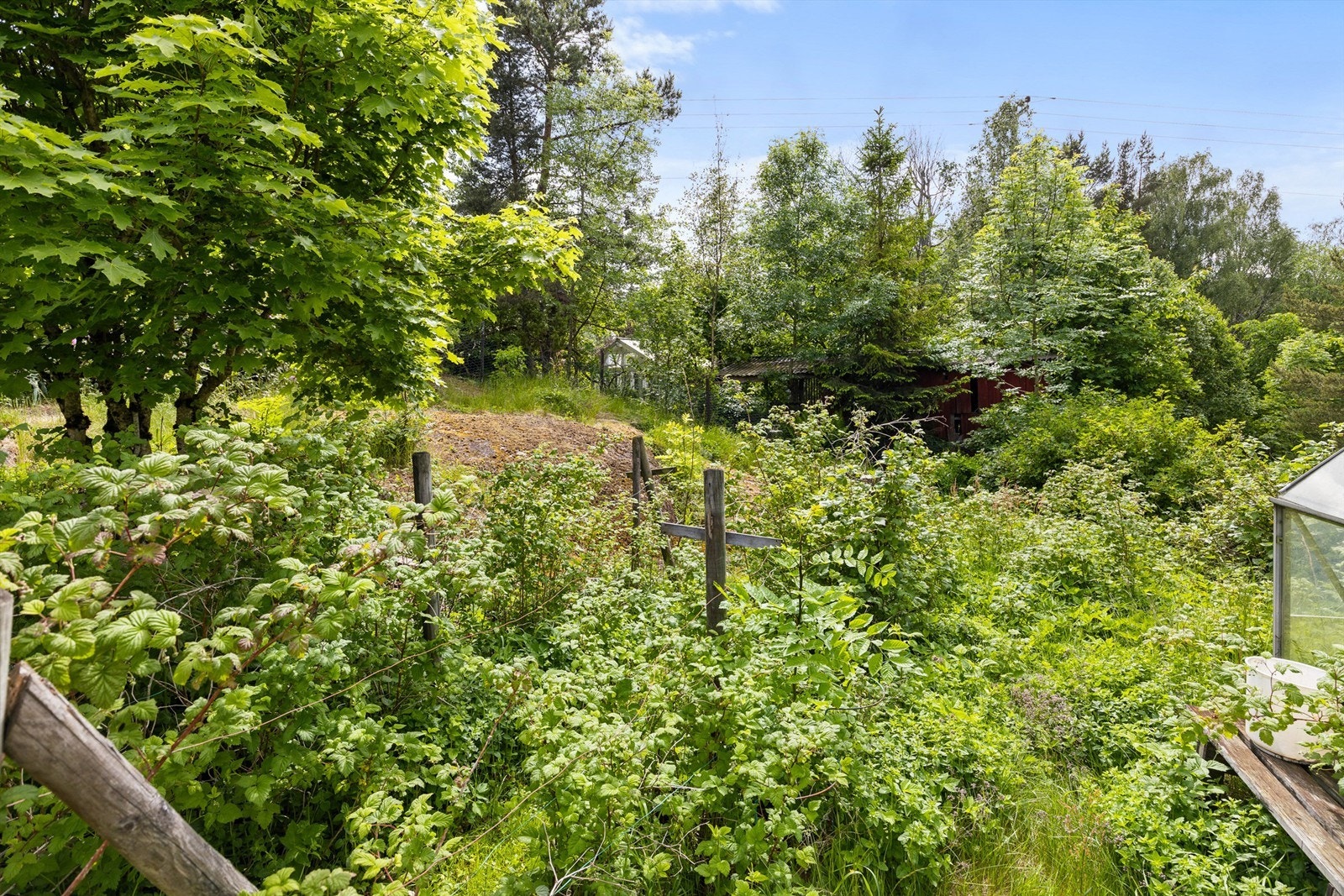 God plass for dyrking av grønnsaker/bærbusker om ønskelig Galleribilde