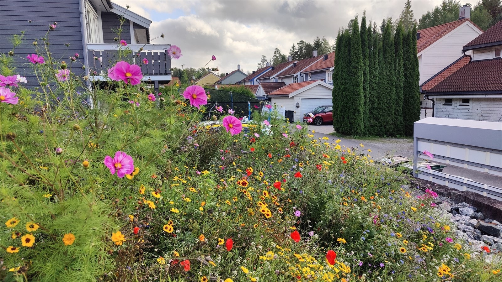 Selgers private bilde av nabolaget. Galleribilde