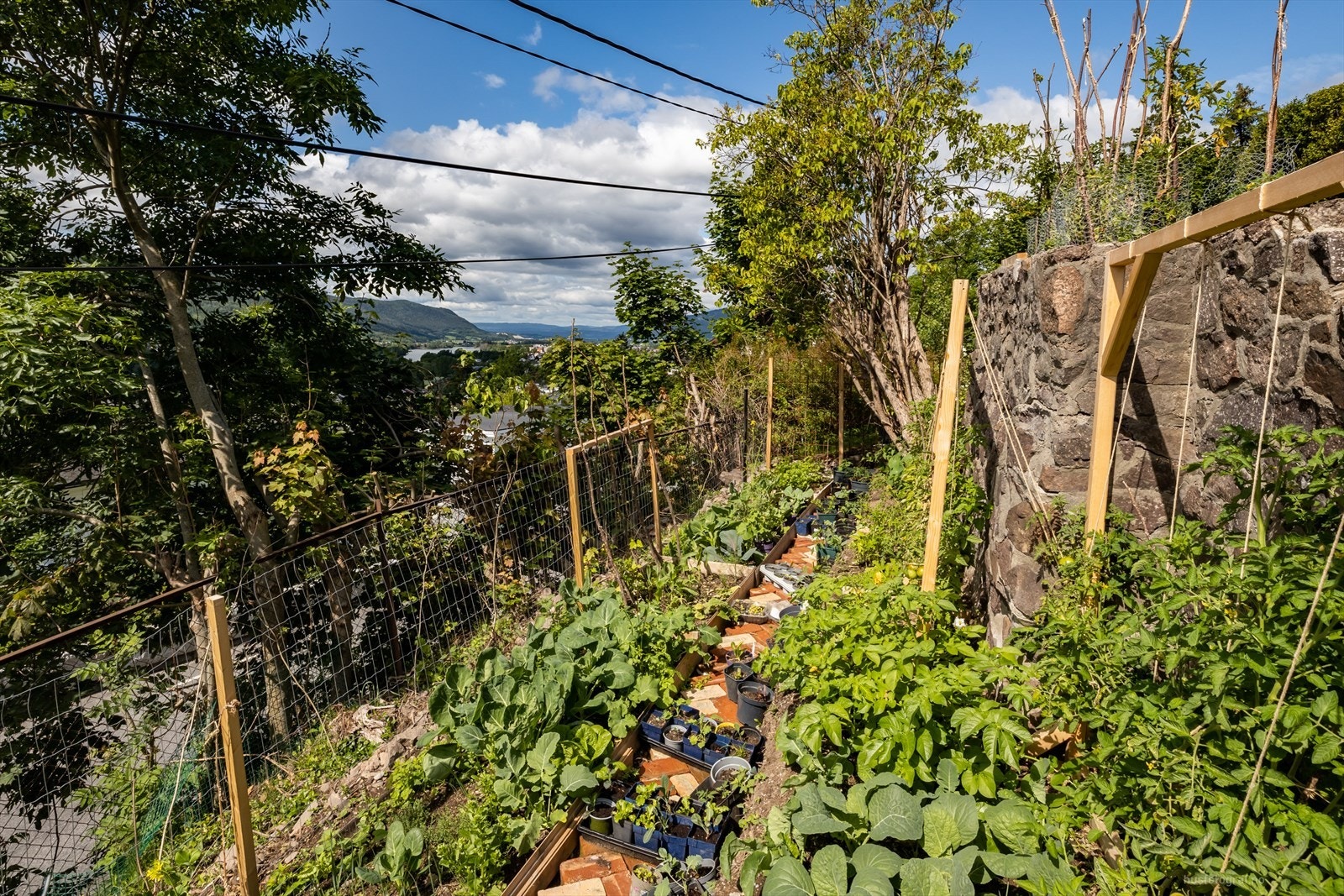 Tomten er utnyttet med grønnsakshage og gir boligen en ekstra bruksverdi. Galleribilde