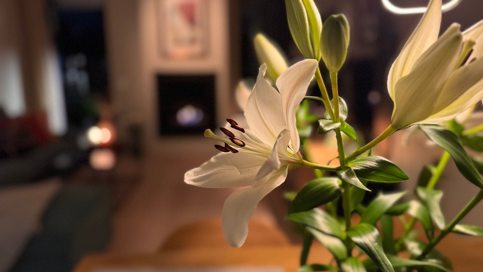 Detalj. Galleribilde