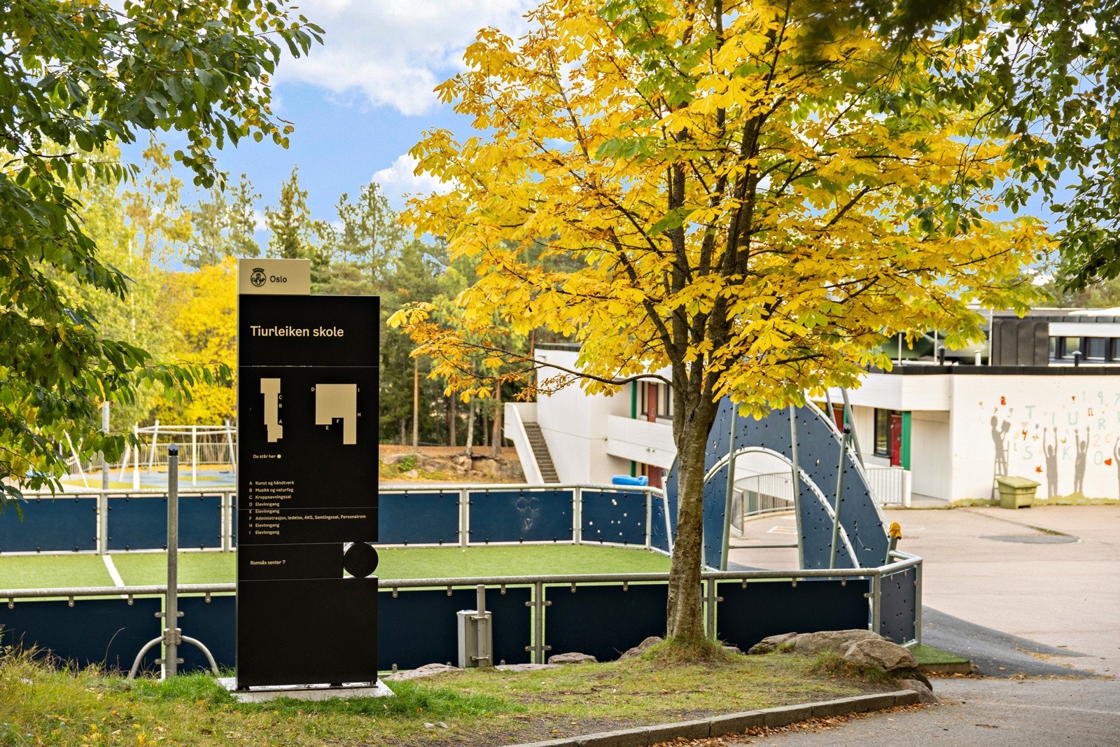 Tiurleiken skole Galleribilde