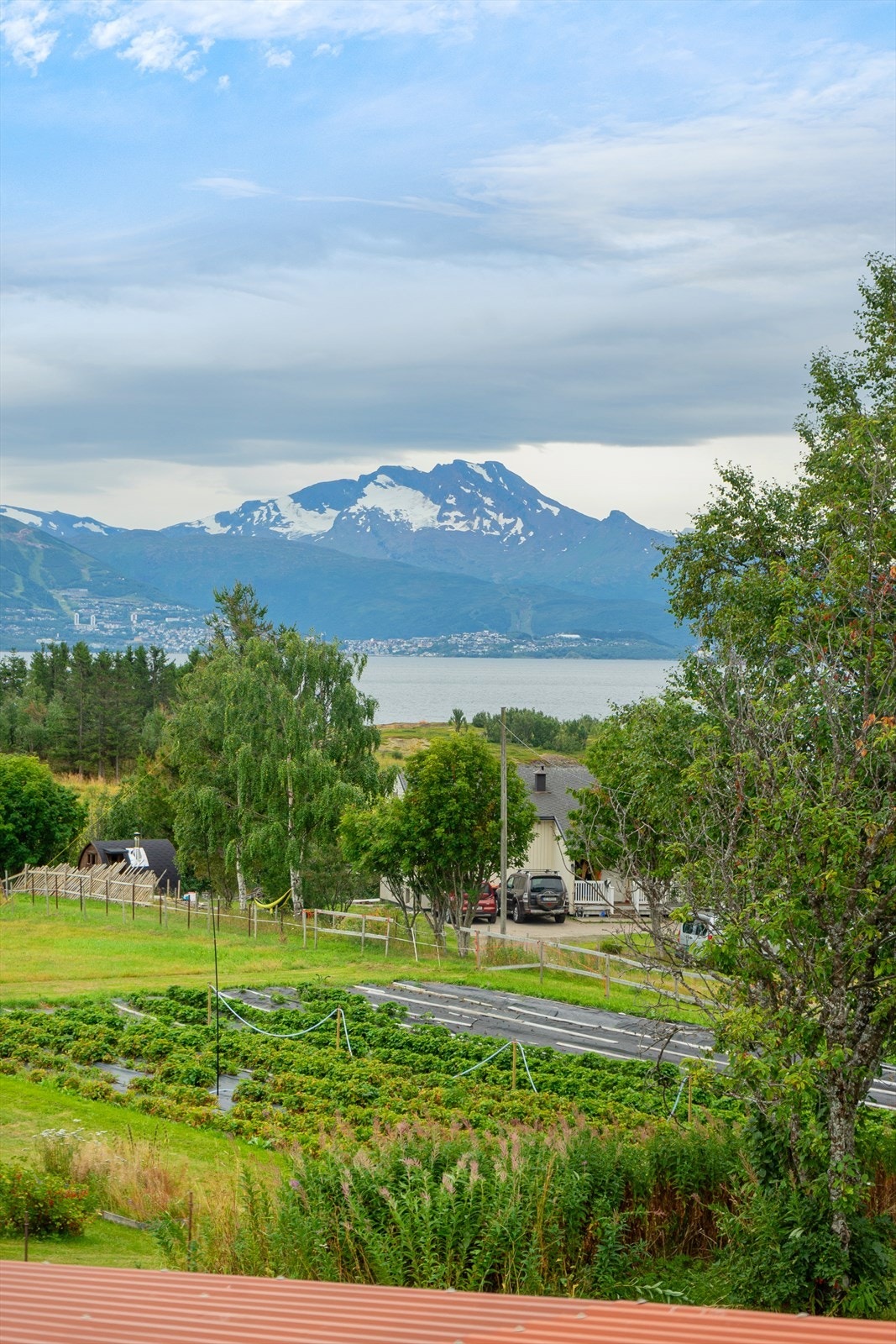 Utsikt fra eiendommen mot Ofotfjorden og Narvik Galleribilde