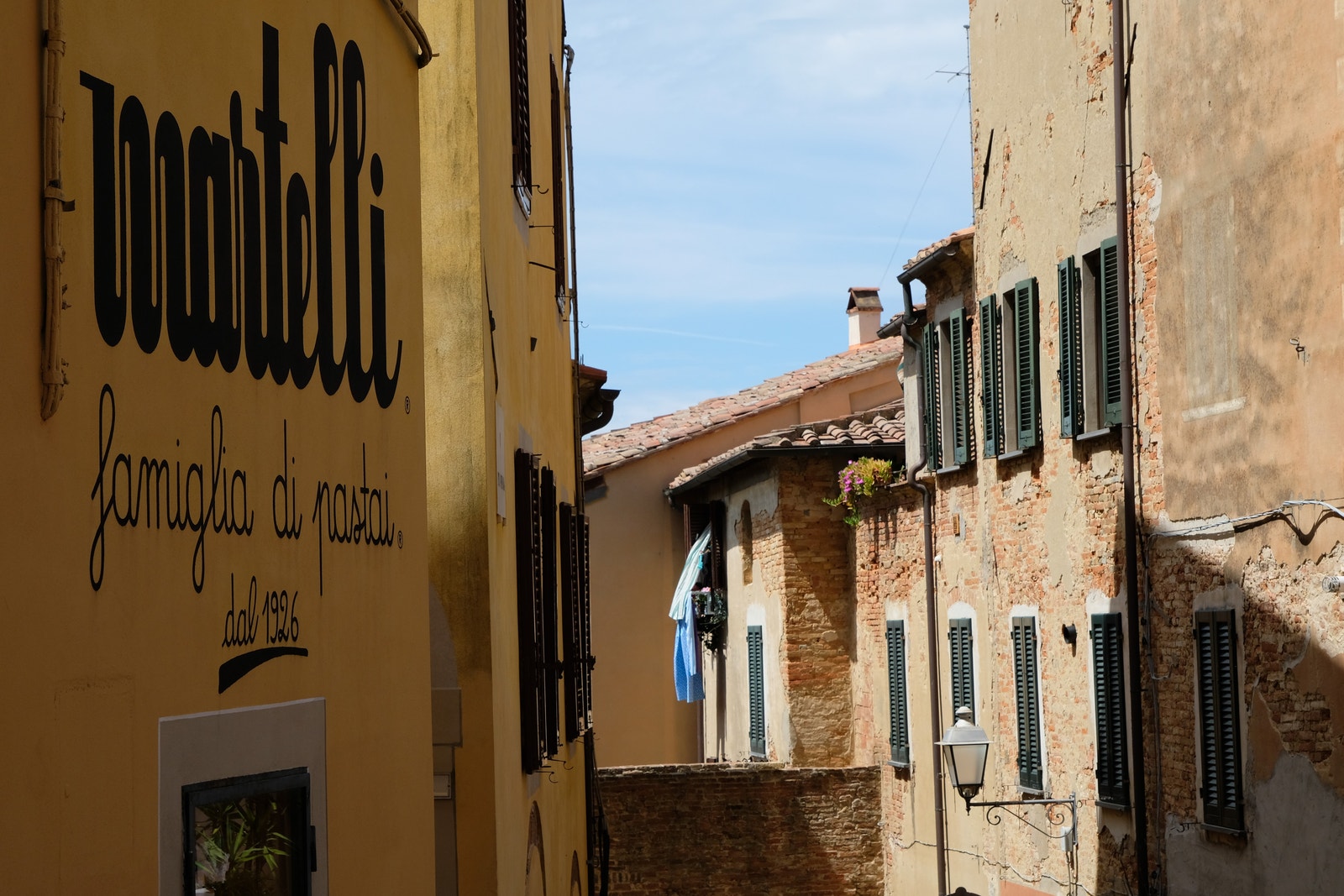 Lari, vakker og elegant! Galleribilde