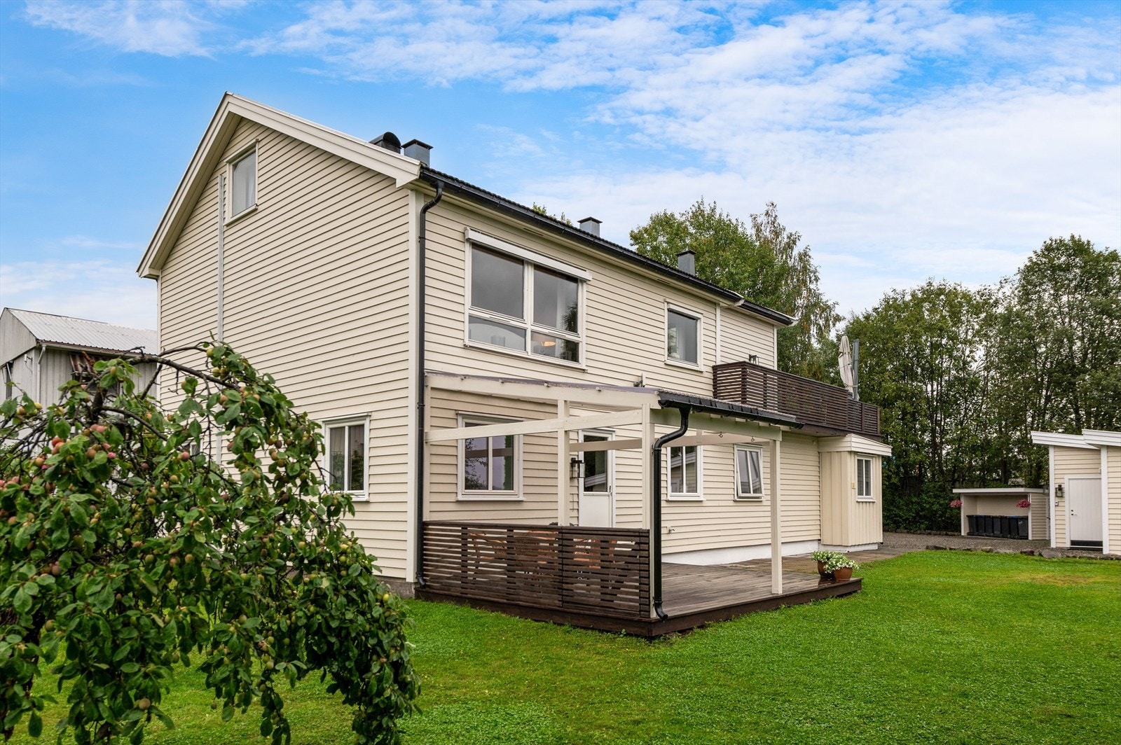 Pent opparbeidet tomt med gress, frukttrær og prydbusker. Galleribilde