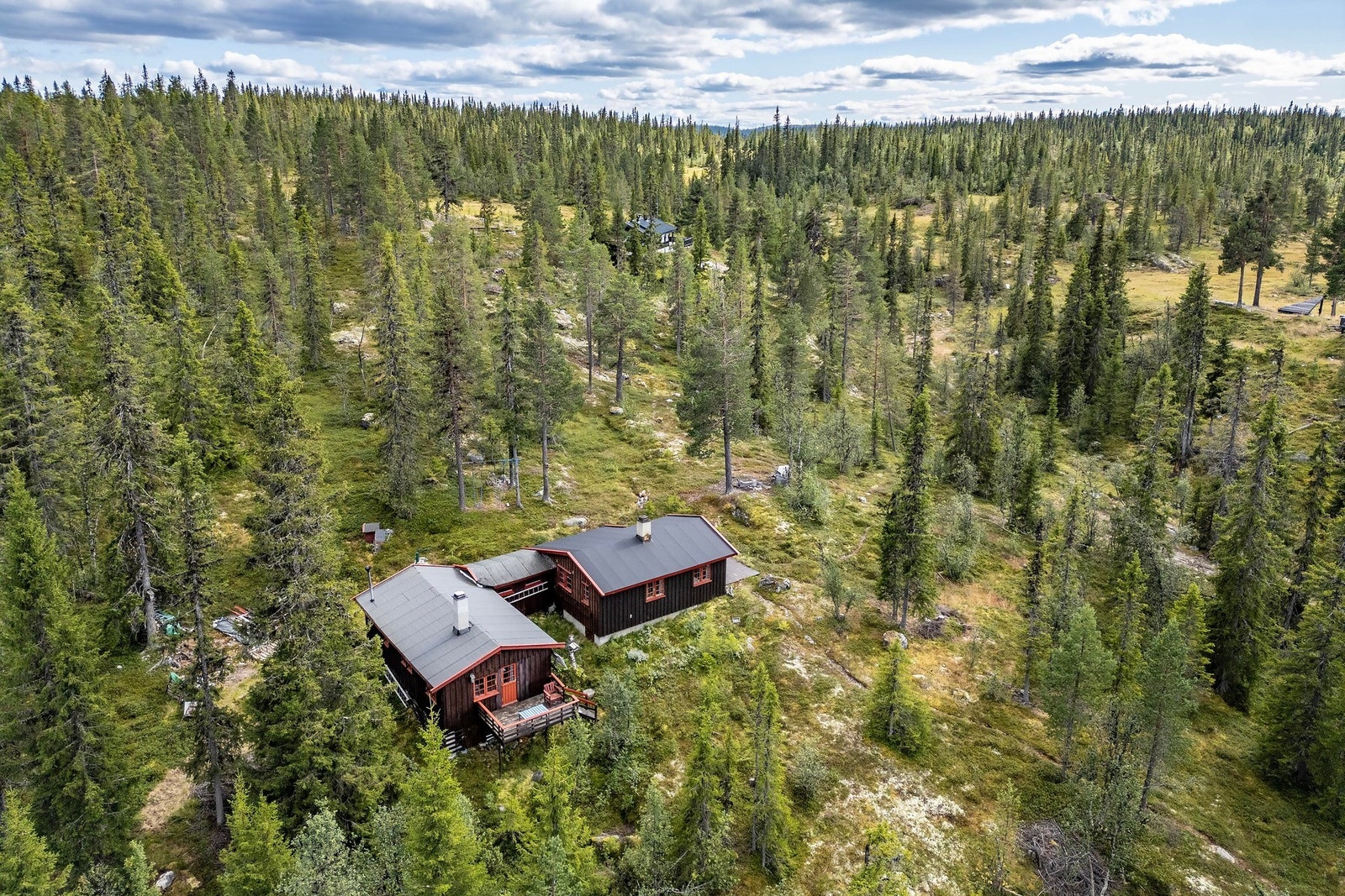 Hytten ligger i et naturnært område. Galleribilde